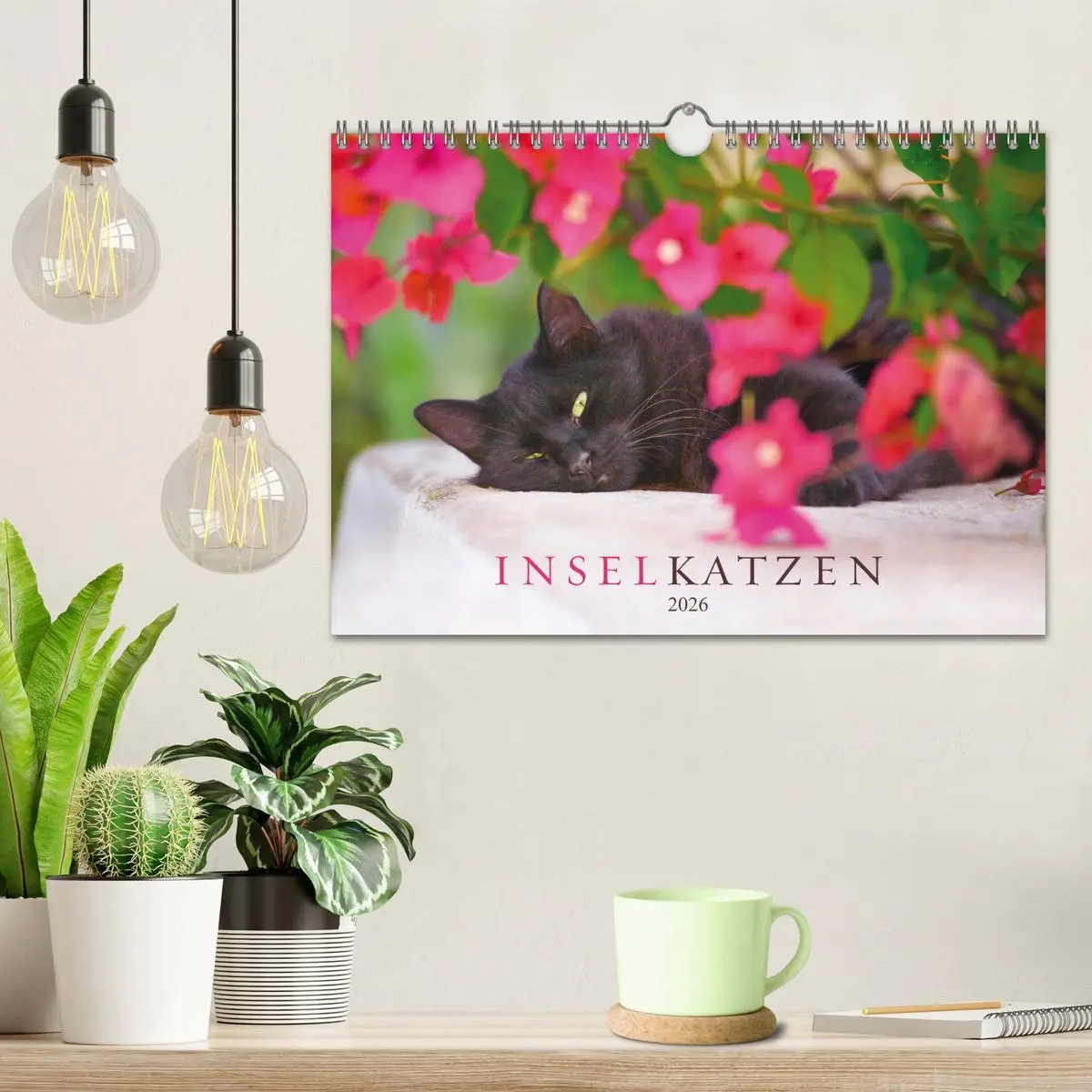Bild: 9783457570661 | Inselkatzen (Wandkalender 2026 DIN A4 quer), CALVENDO Monatskalender