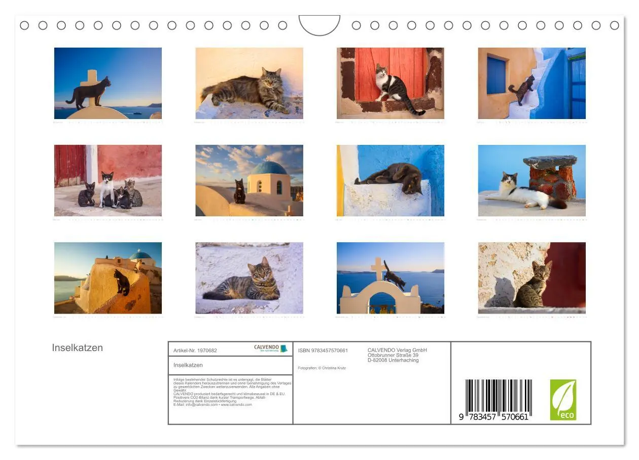 Bild: 9783457570661 | Inselkatzen (Wandkalender 2026 DIN A4 quer), CALVENDO Monatskalender