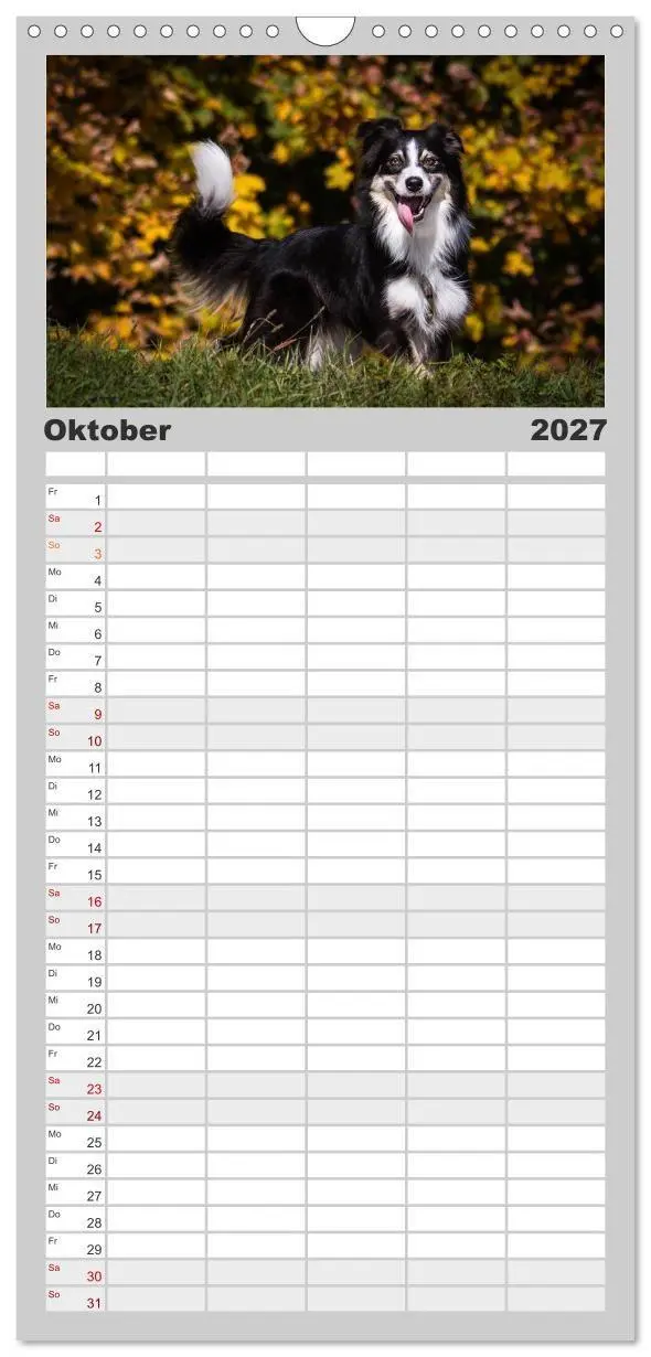 Bild: 9783594330661 | Familienplaner 2027 - Australian Shepherd - Traum auf vier Pfoten...