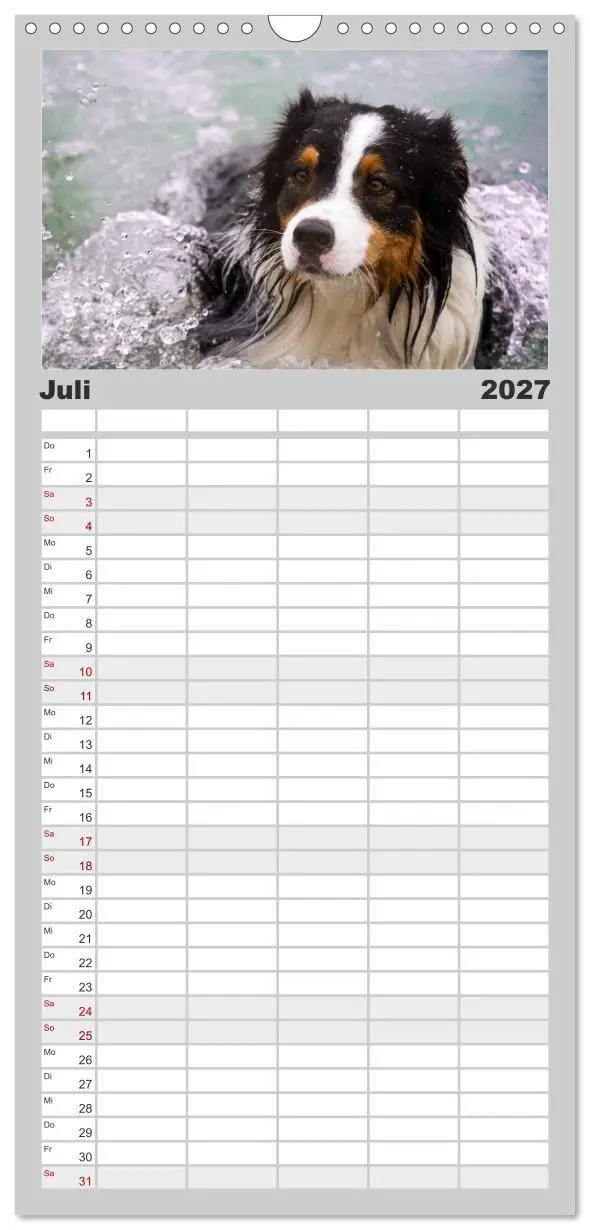 Bild: 9783594330661 | Familienplaner 2027 - Australian Shepherd - Traum auf vier Pfoten...