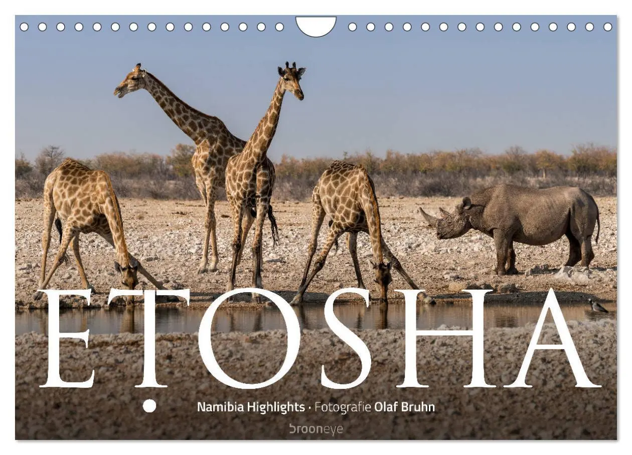 Cover: 9783457940761 | ETOSHA - Namibia Highlights (Wandkalender 2026 DIN A4 quer),...
