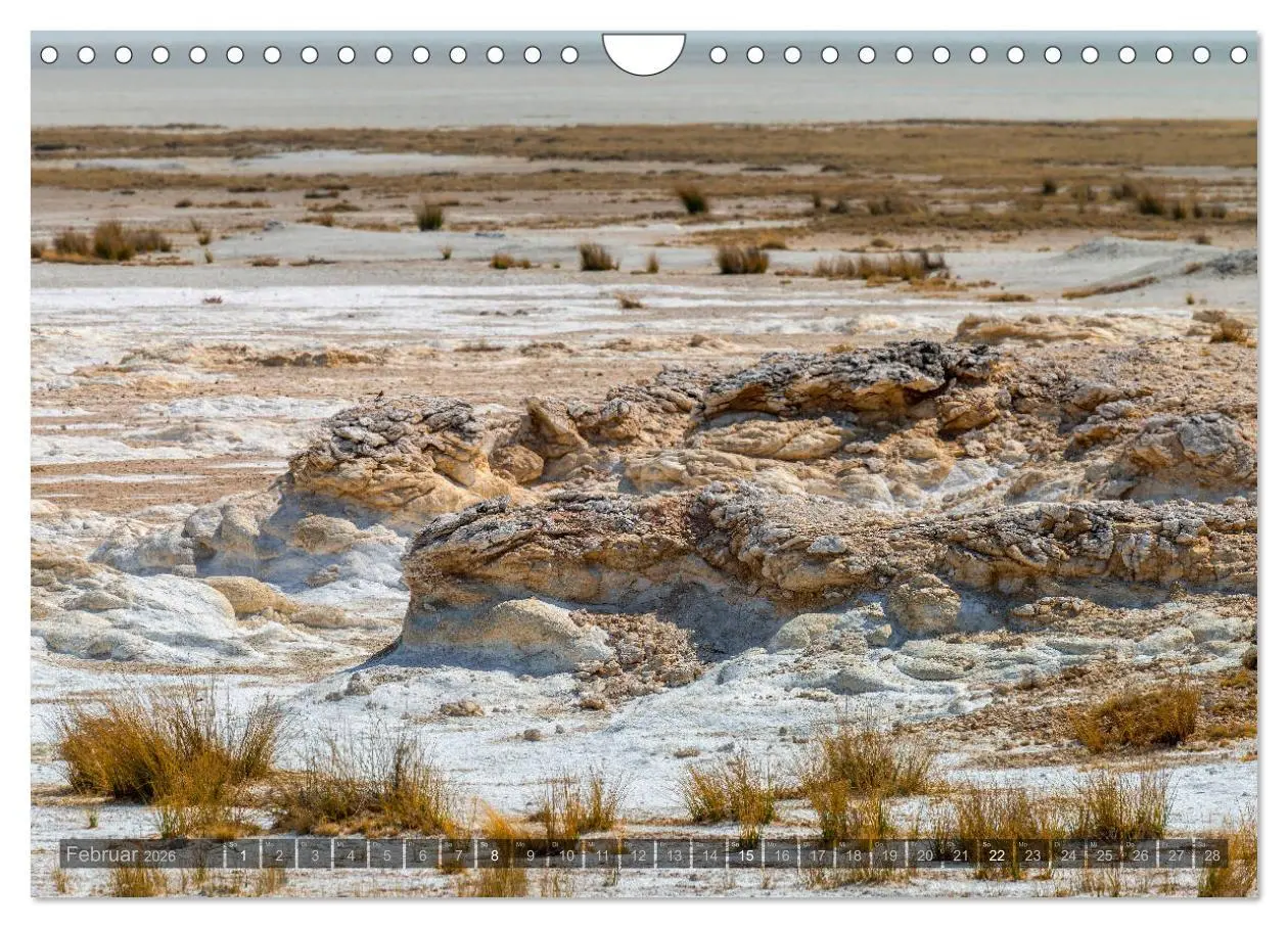 Bild: 9783457940761 | ETOSHA - Namibia Highlights (Wandkalender 2026 DIN A4 quer),...