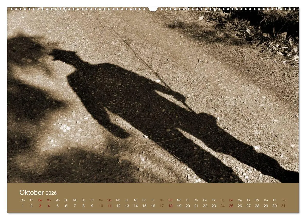Bild: 9783516100761 | Fliegenfischen (Wandkalender 2026 DIN A2 quer), CALVENDO...