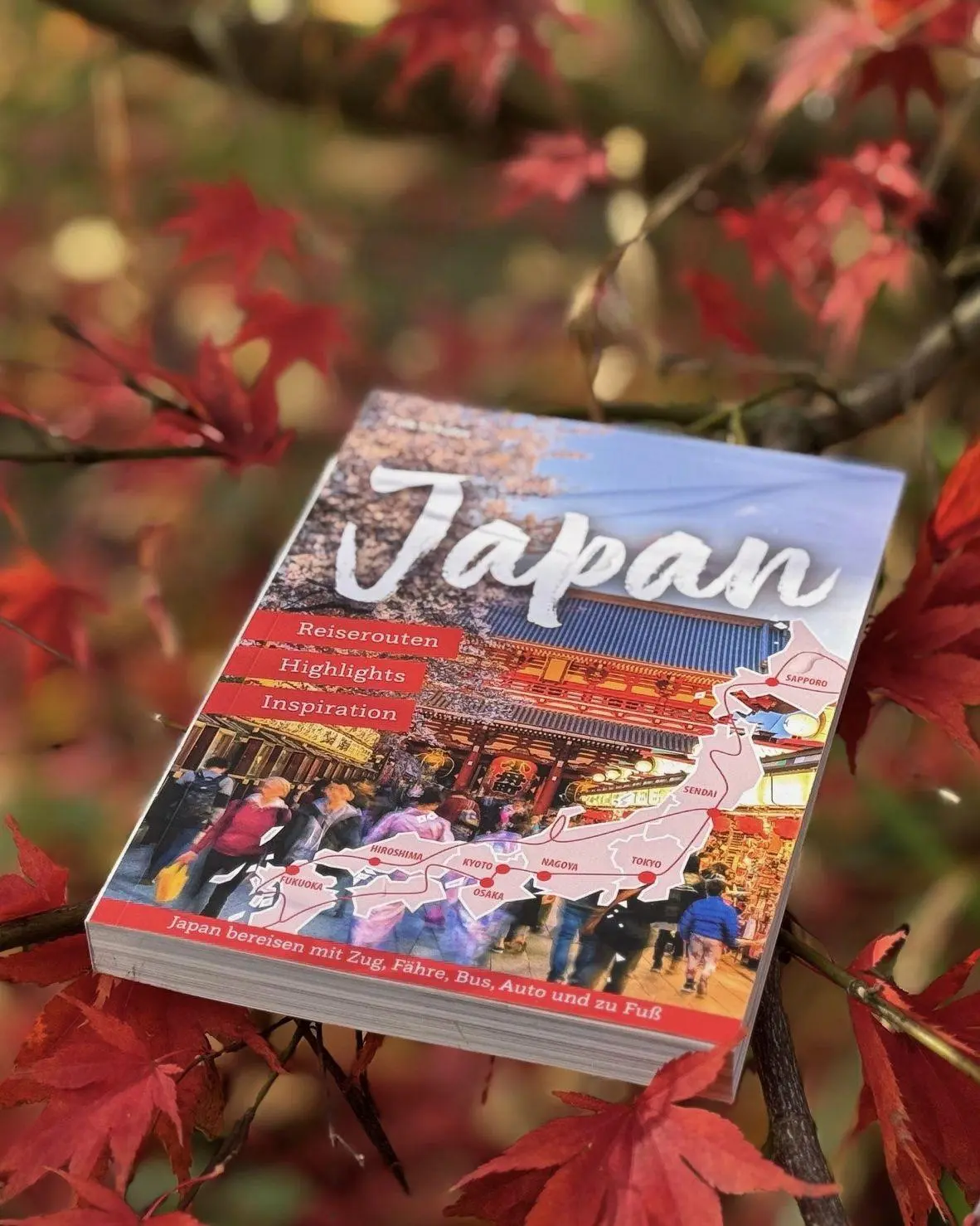 Bild: 9783831780761 | Reiseführer Japan - Reiserouten, Highlights, Inspiration | Schäfer