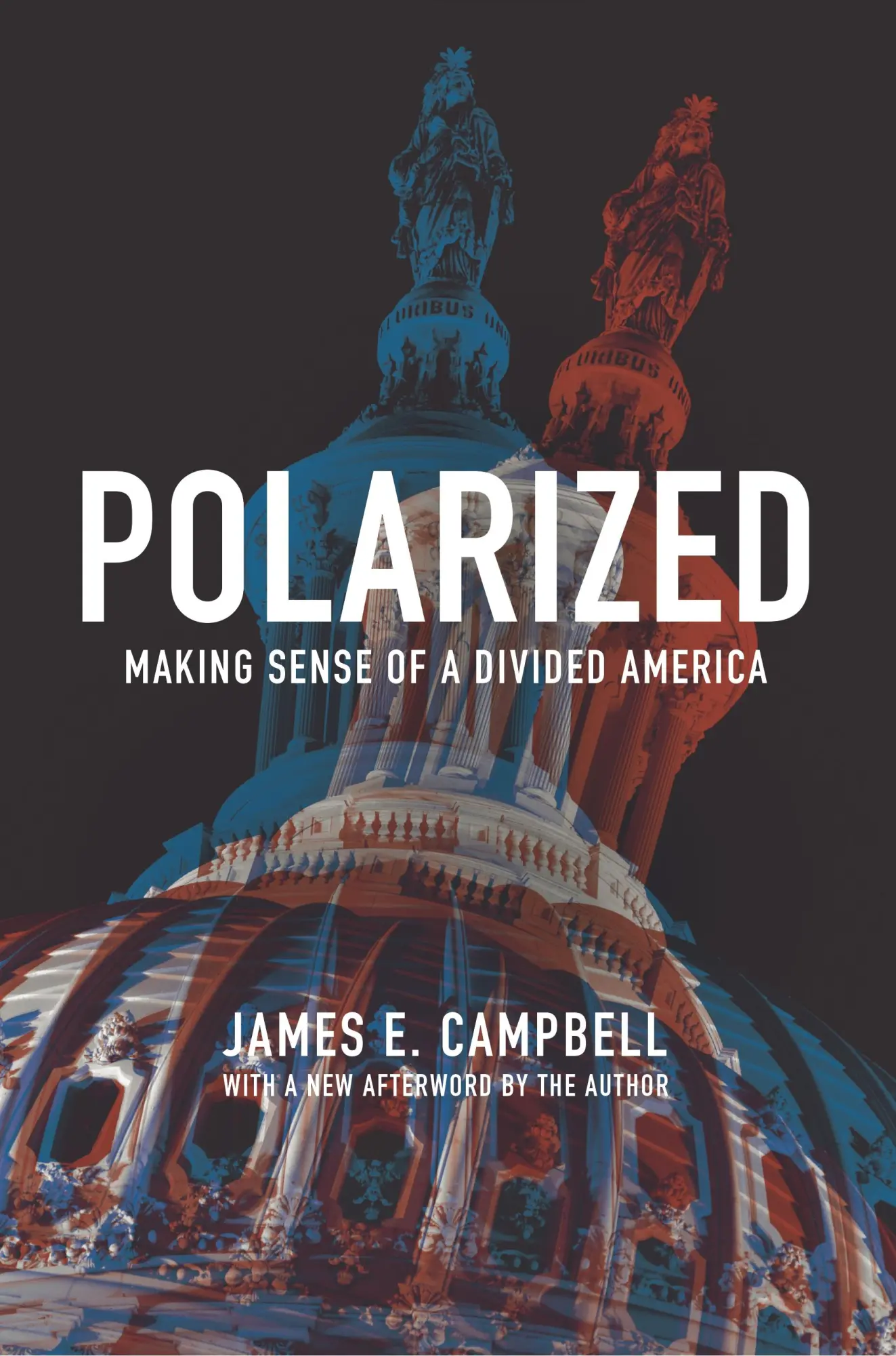 Cover: 9780691180861 | Polarized | Making Sense of a Divided America | James E Campbell