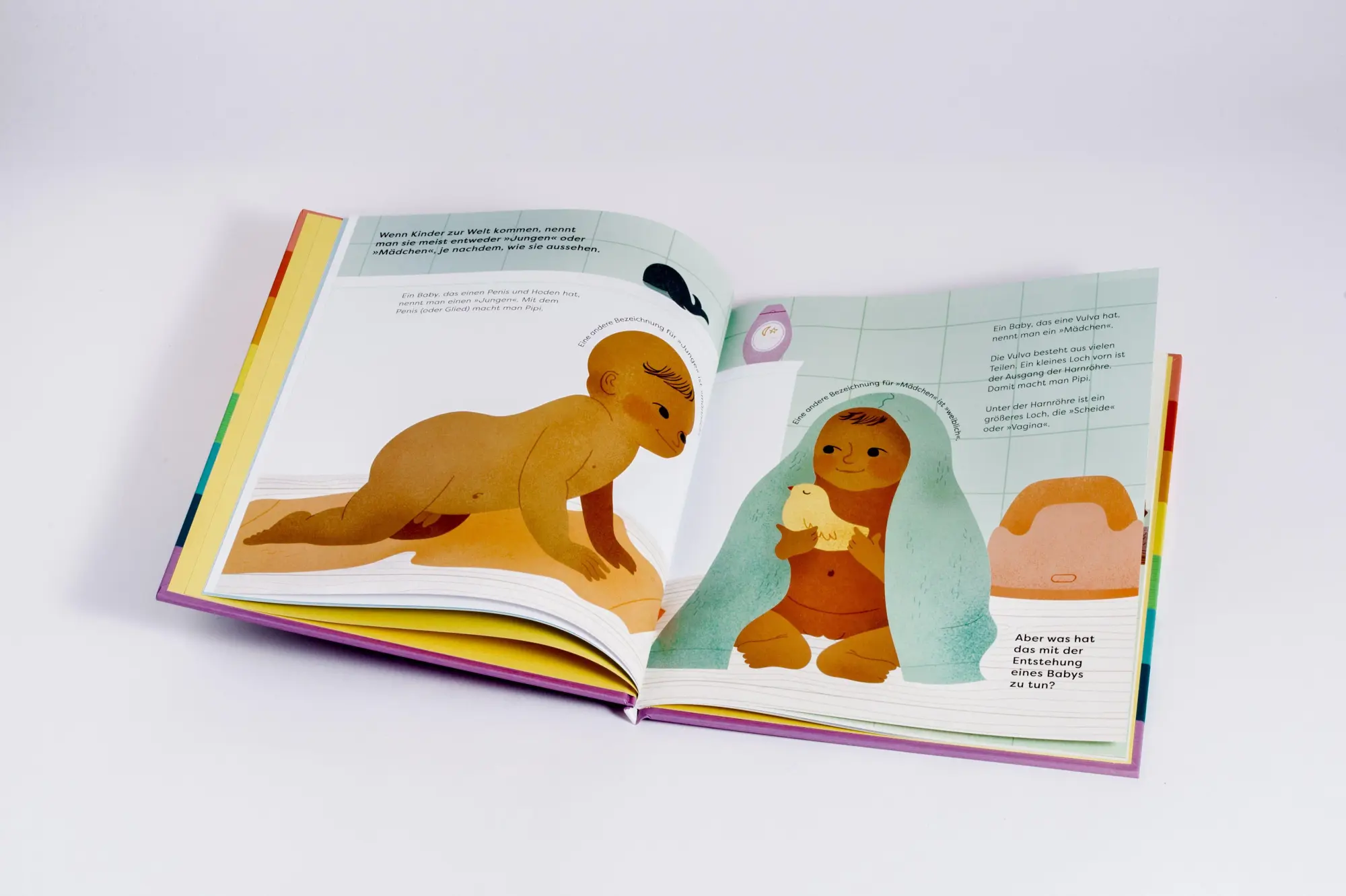 Bild: 9783328300861 | Ein Baby! Wie eine Familie entsteht | Rachel Greener | Buch | 32 S.