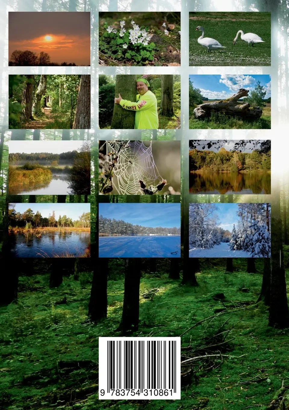 Rückseite: 9783754310861 | Gedichte aus dem Zauberwald | Roland Pöllnitz | Taschenbuch | 238 S.