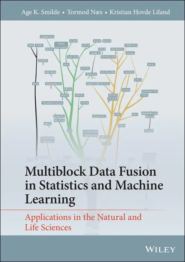 Cover: 9781119600961 | Multiblock Data Fusion in Statistics and Machine Learning | Buch
