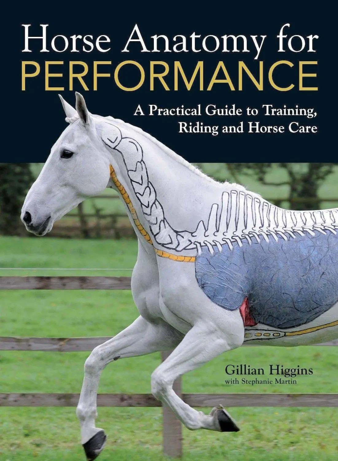 Cover: 9781446300961 | Horse Anatomy for Performance | Gillian Higgins | Buch | Gebunden