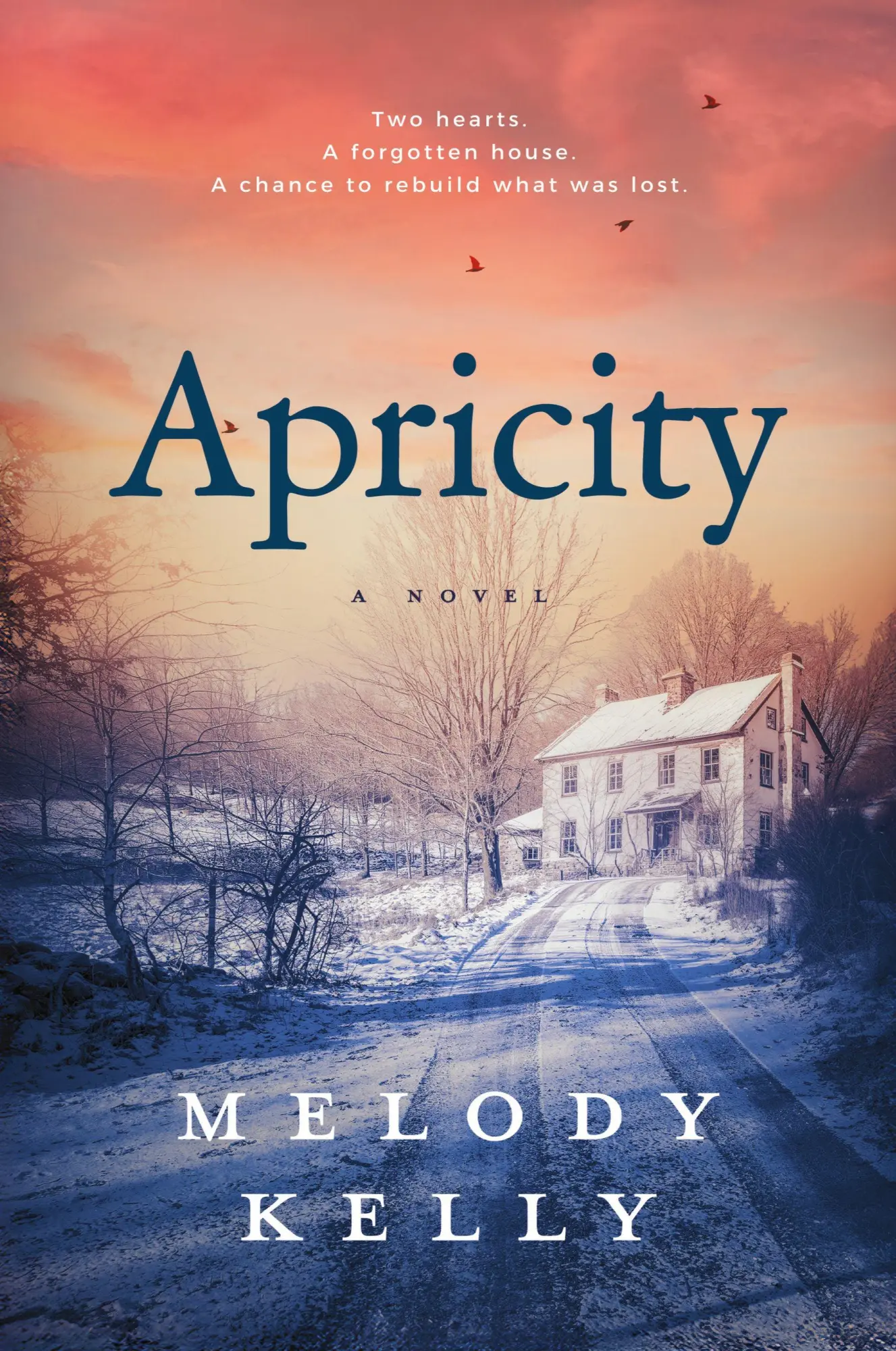 Cover: 9798988530961 | Apricity | Melody Kelly | Taschenbuch | Englisch | 2025