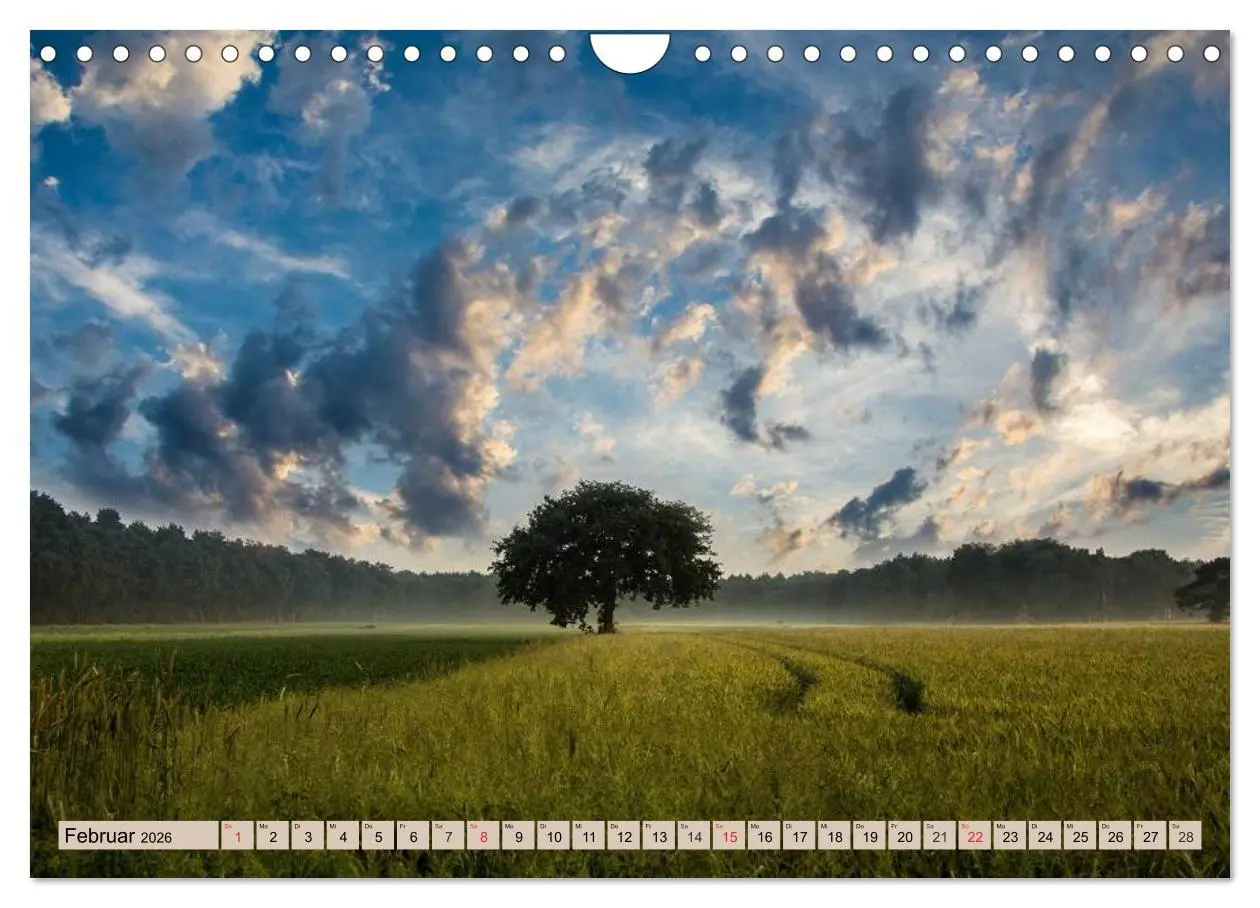 Bild: 9783516141061 | Horizonte zum Träumen (Wandkalender 2026 DIN A4 quer), CALVENDO...