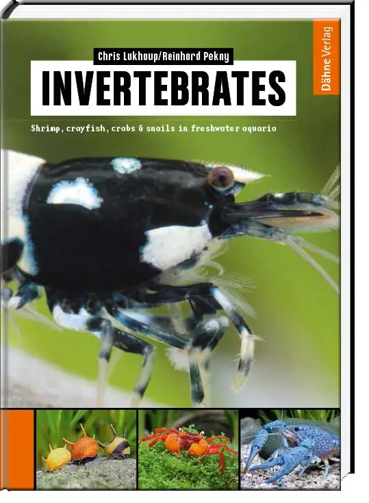 Cover: 9783944821061 | Invertebrates | Shrimp, crayfish, crabs &amp; snails in freshwater aquaria
