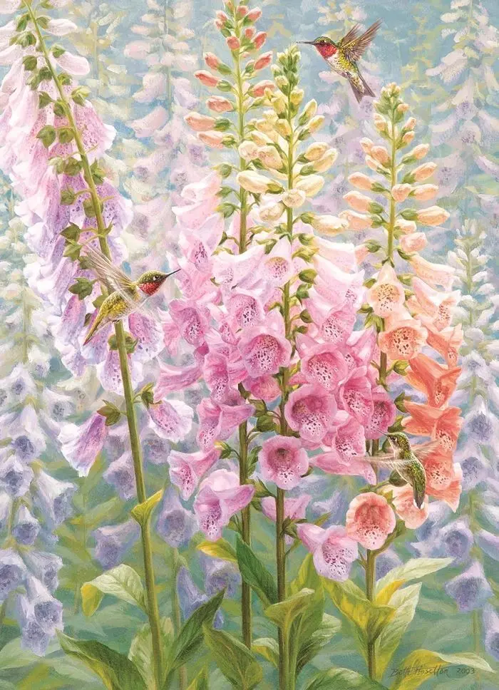 Bild: 625012451161 | COBBLE HILL PUZZLES - Blumen im Sommer 500 Teile | Spiel | In Karton