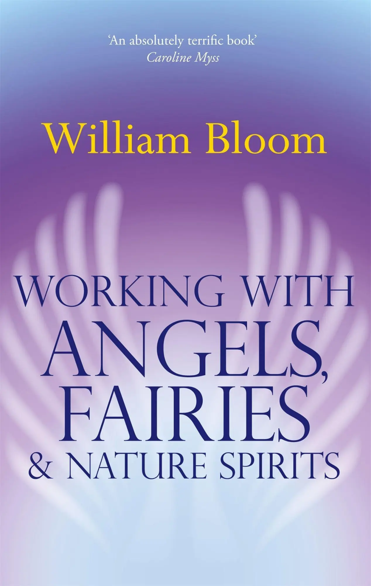 Cover: 9780749941161 | Working With Angels, Fairies And Nature Spirits | William Bloom | Buch
