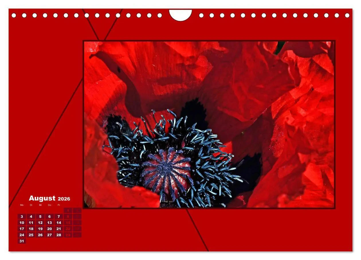 Bild: 9783457801161 | Powerfarbe Rot (Wandkalender 2026 DIN A4 quer), CALVENDO...
