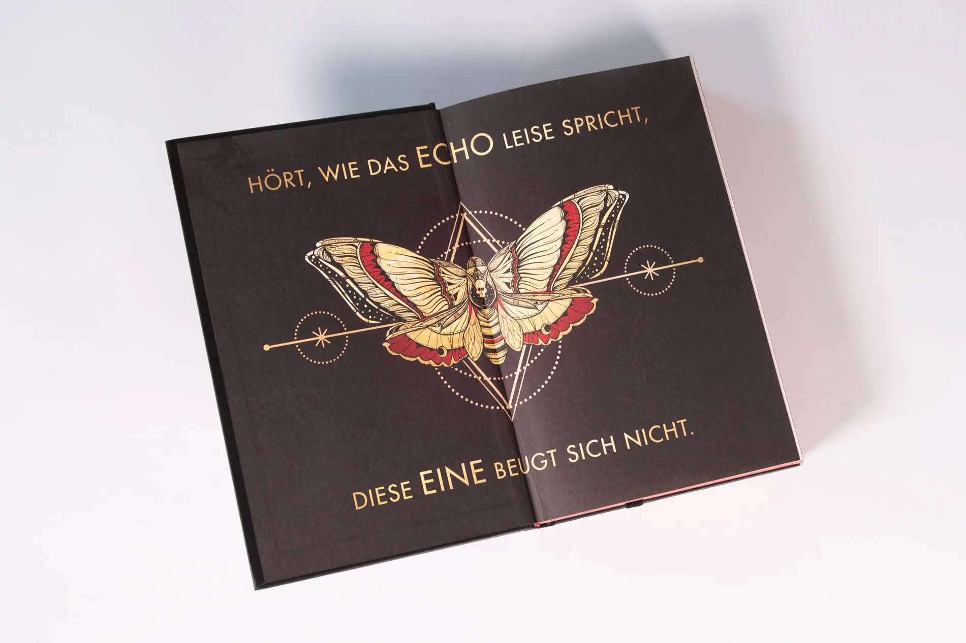 Bild: 9783743221161 | The Last One (Schicksalsberührt, Band 1) | Rachel Howzell Hall | Buch