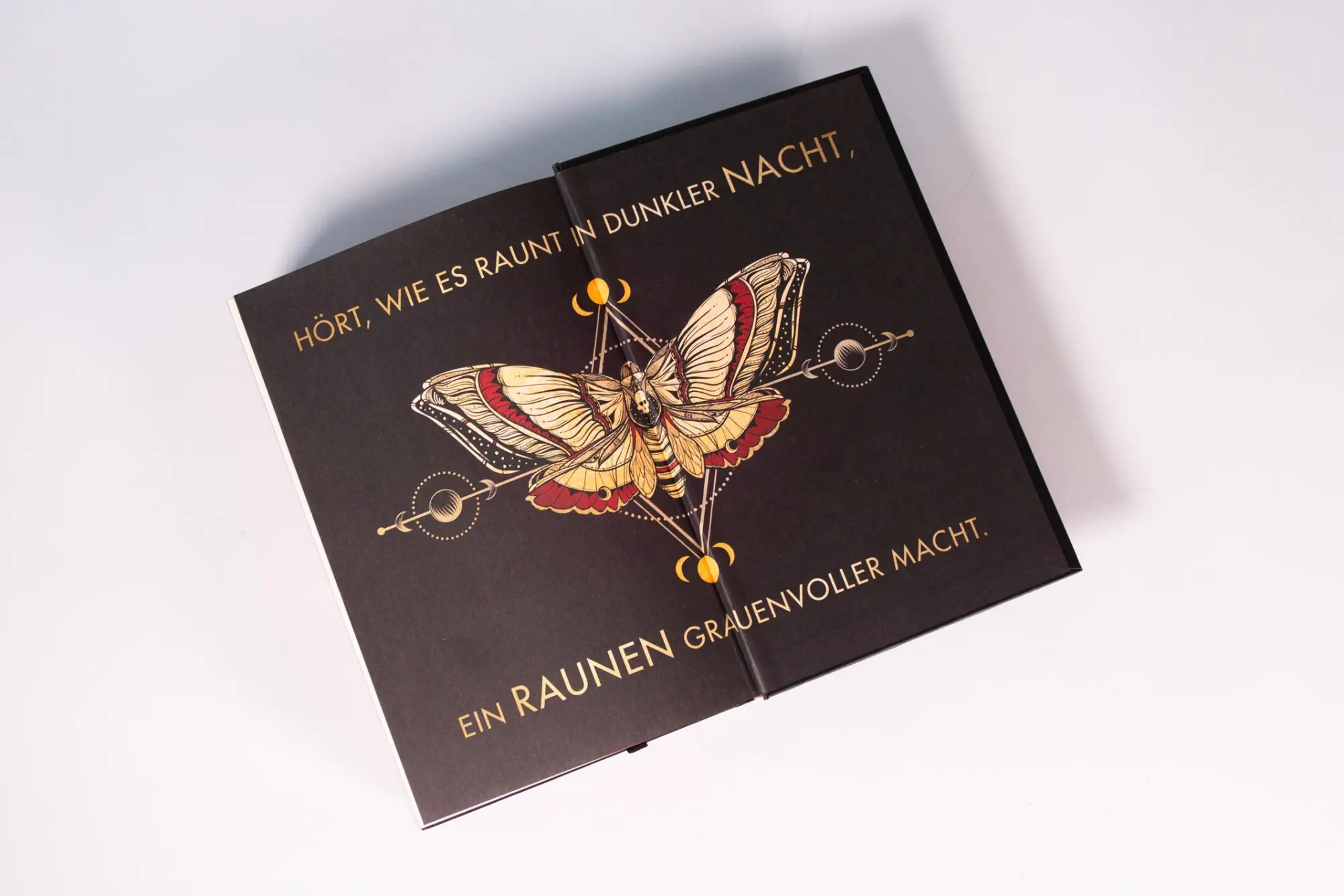 Bild: 9783743221161 | The Last One (Schicksalsberührt, Band 1) | Rachel Howzell Hall | Buch
