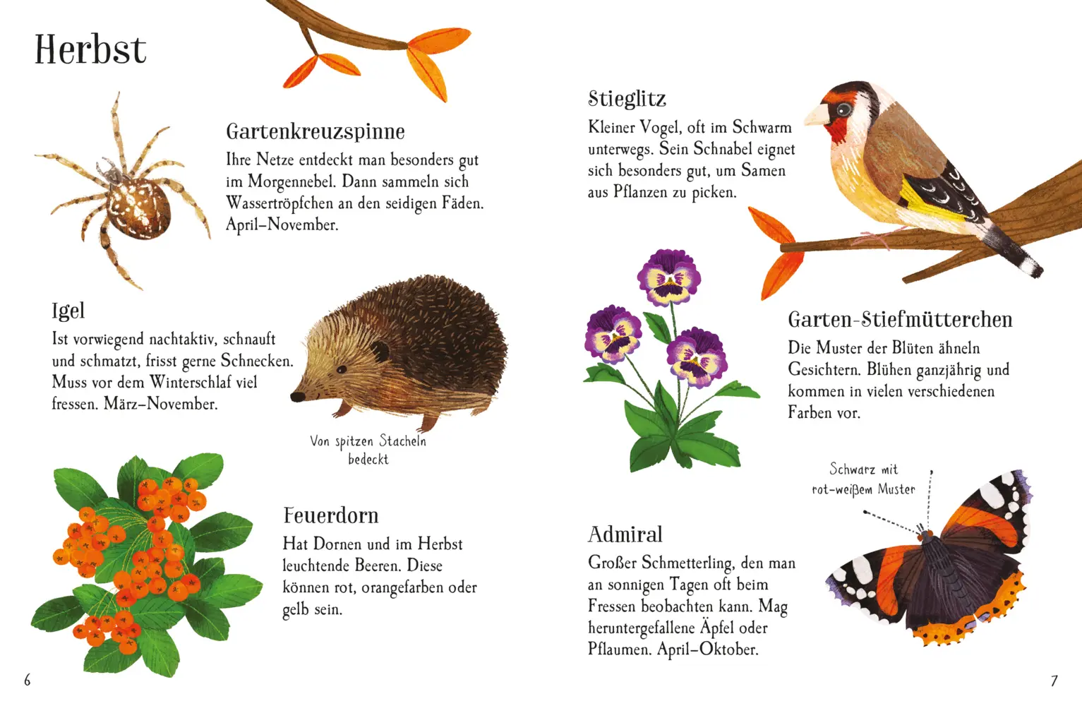 Bild: 9781035701261 | Usborne Minis Naturführer: Im Garten | Kate Nolan | Taschenbuch | 2025
