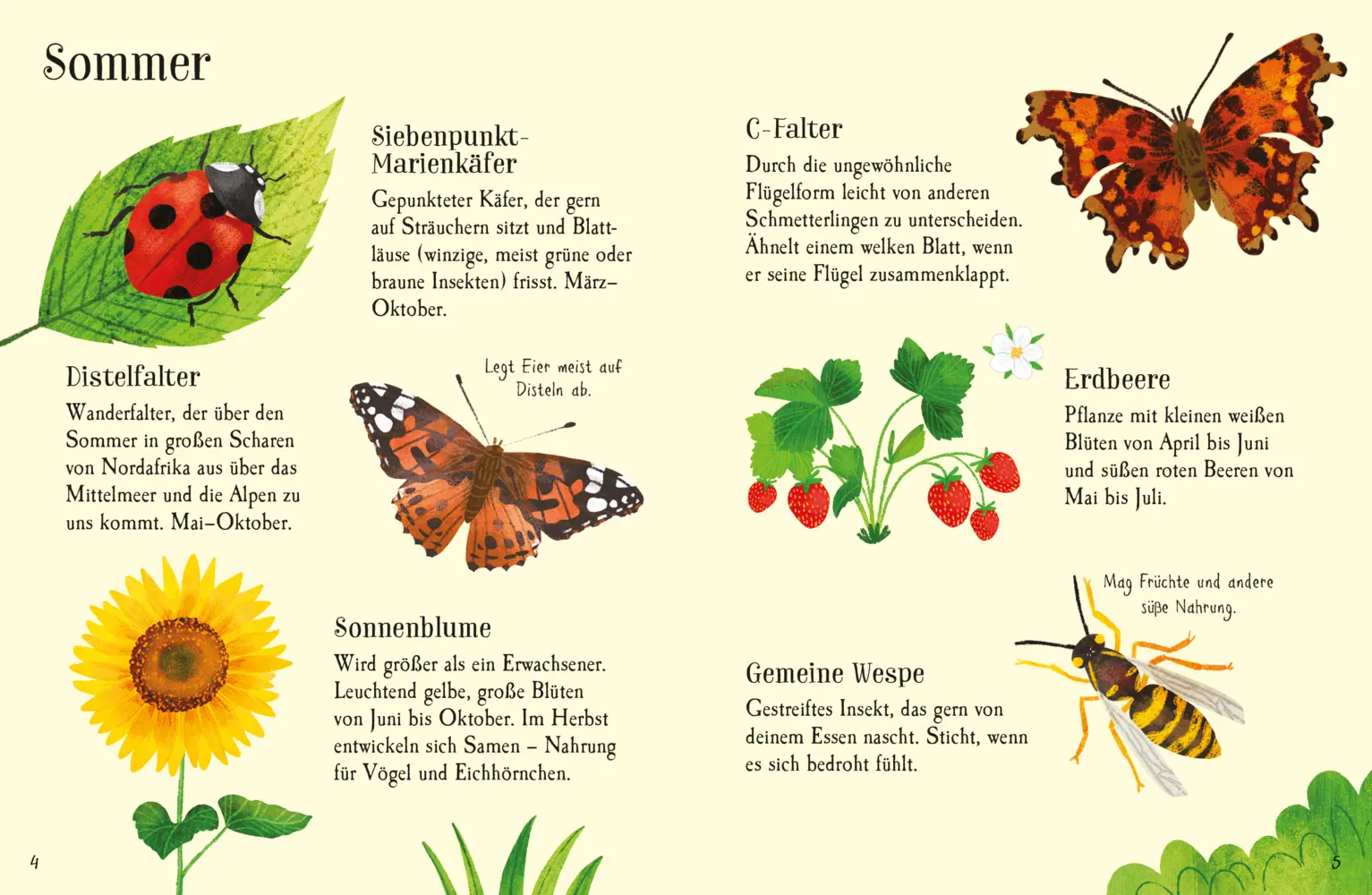Bild: 9781035701261 | Usborne Minis Naturführer: Im Garten | Kate Nolan | Taschenbuch | 2025