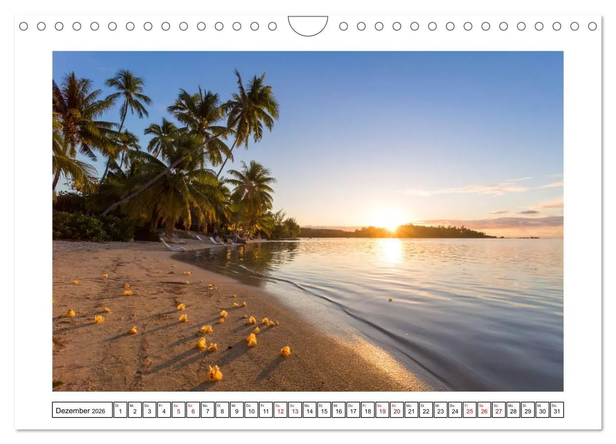 Bild: 9783457571361 | Traumstrände - Naturparadiese aus aller Welt (Wandkalender 2026 DIN...