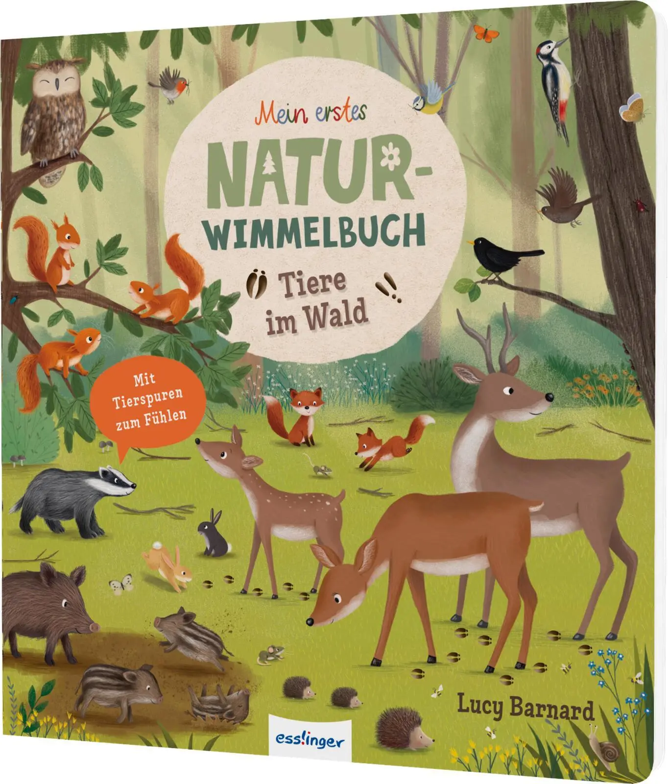 Cover: 9783480241361 | Tiere im Wald | Sibylle Schumann | Buch | Mein erstes Natur-Wimmelbuch