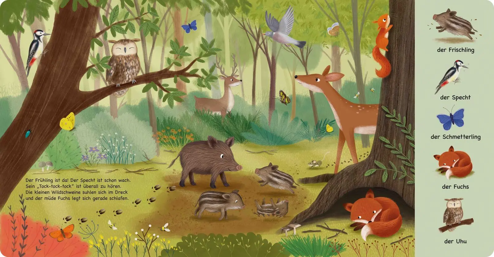 Bild: 9783480241361 | Tiere im Wald | Sibylle Schumann | Buch | Mein erstes Natur-Wimmelbuch