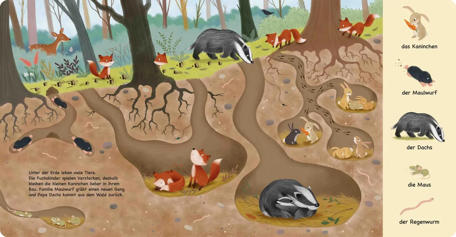 Bild: 9783480241361 | Tiere im Wald | Sibylle Schumann | Buch | Mein erstes Natur-Wimmelbuch