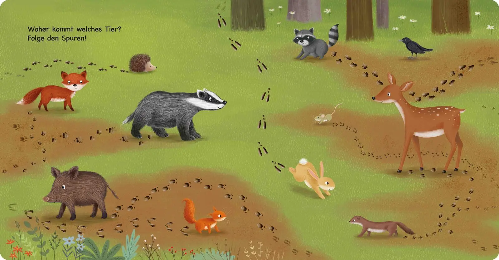Bild: 9783480241361 | Tiere im Wald | Sibylle Schumann | Buch | Mein erstes Natur-Wimmelbuch