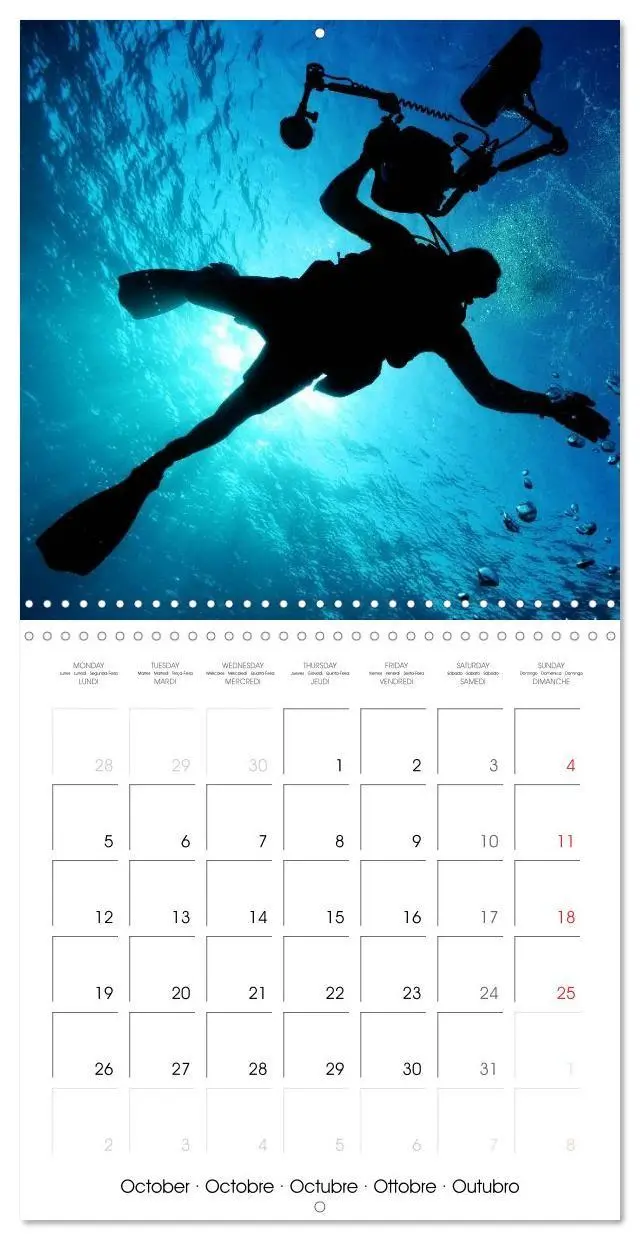 Bild: 9783516591361 | Maldives - Sun, water and beach (Wall Calendar 2026 12 × 12 Inch)...