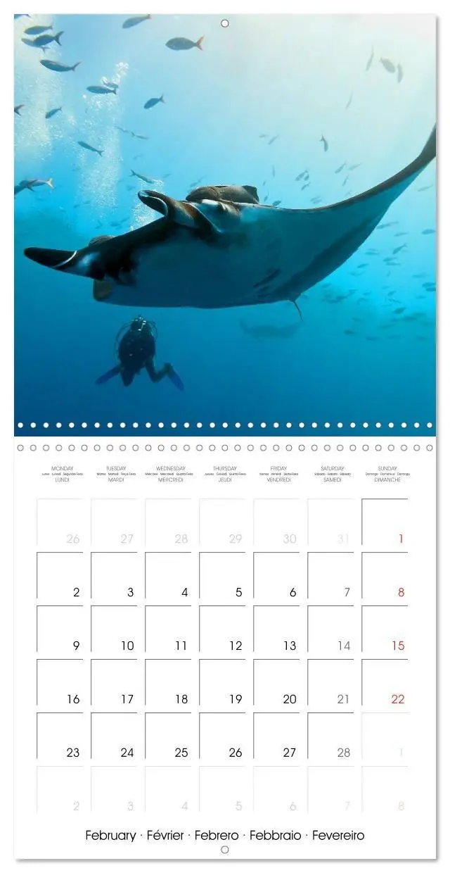 Bild: 9783516591361 | Maldives - Sun, water and beach (Wall Calendar 2026 12 × 12 Inch)...