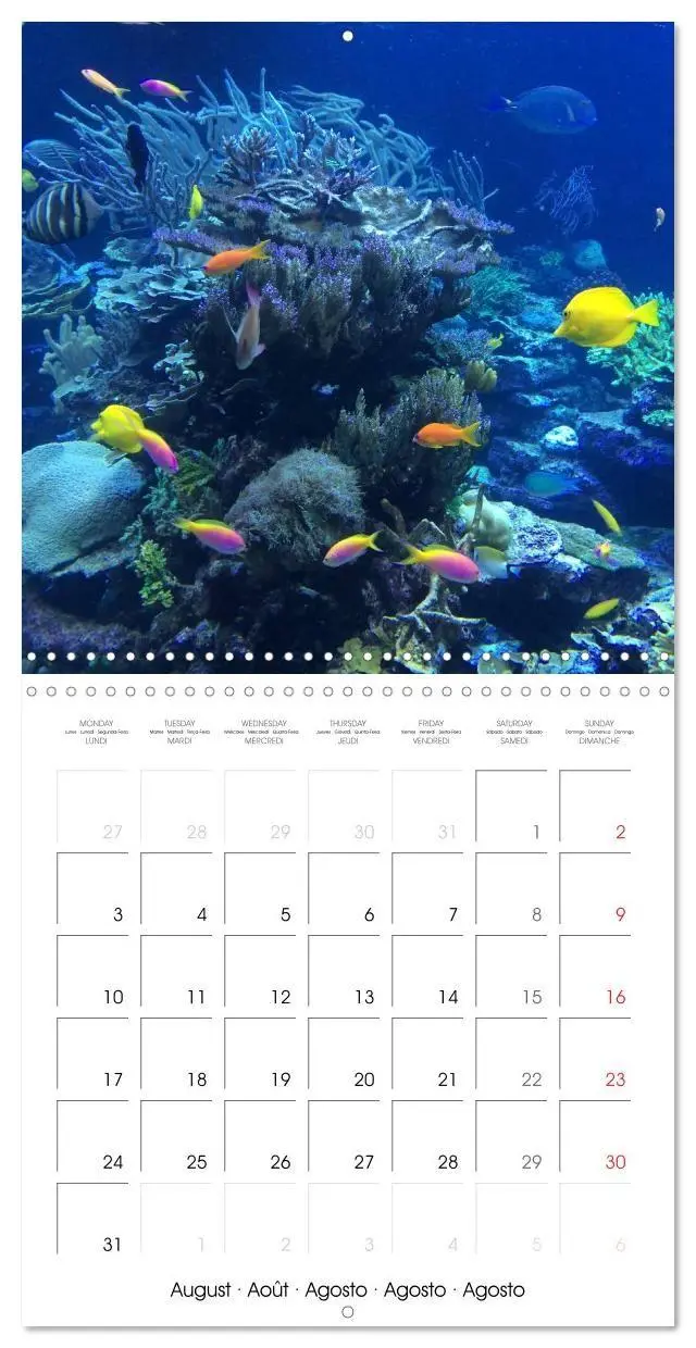 Bild: 9783516591361 | Maldives - Sun, water and beach (Wall Calendar 2026 12 × 12 Inch)...