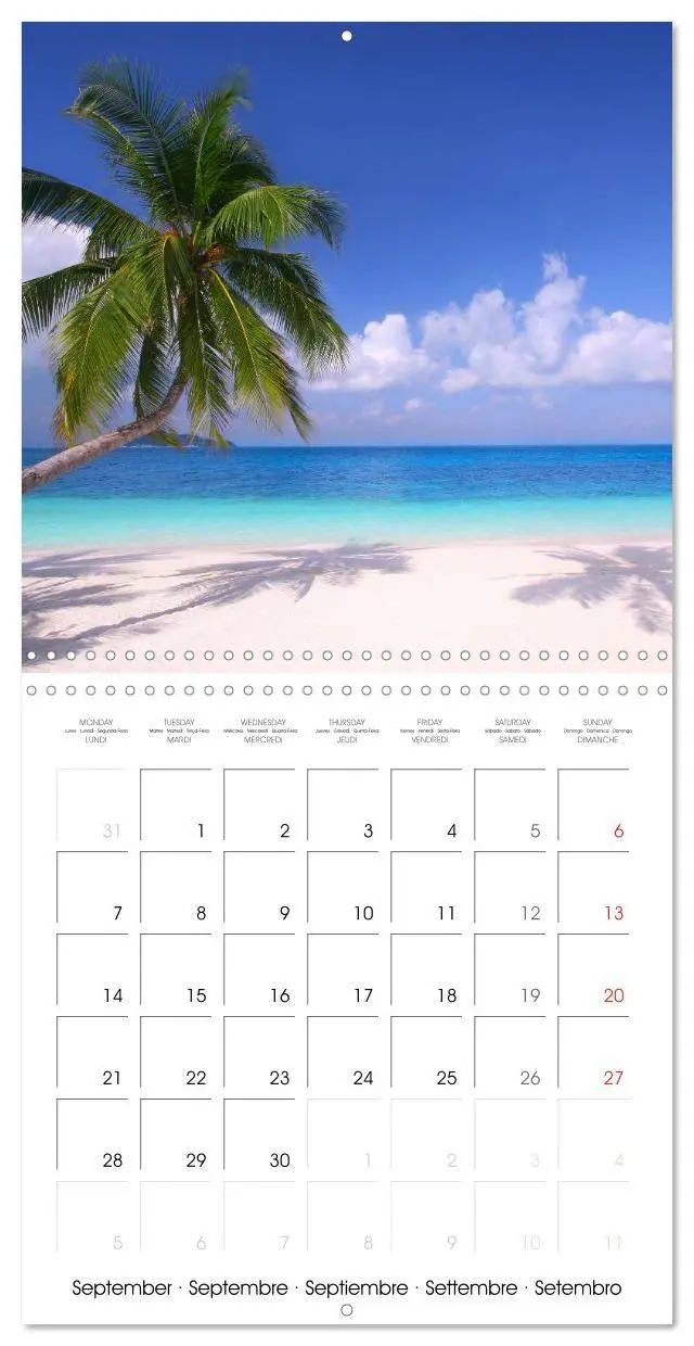 Bild: 9783516591361 | Maldives - Sun, water and beach (Wall Calendar 2026 12 × 12 Inch)...
