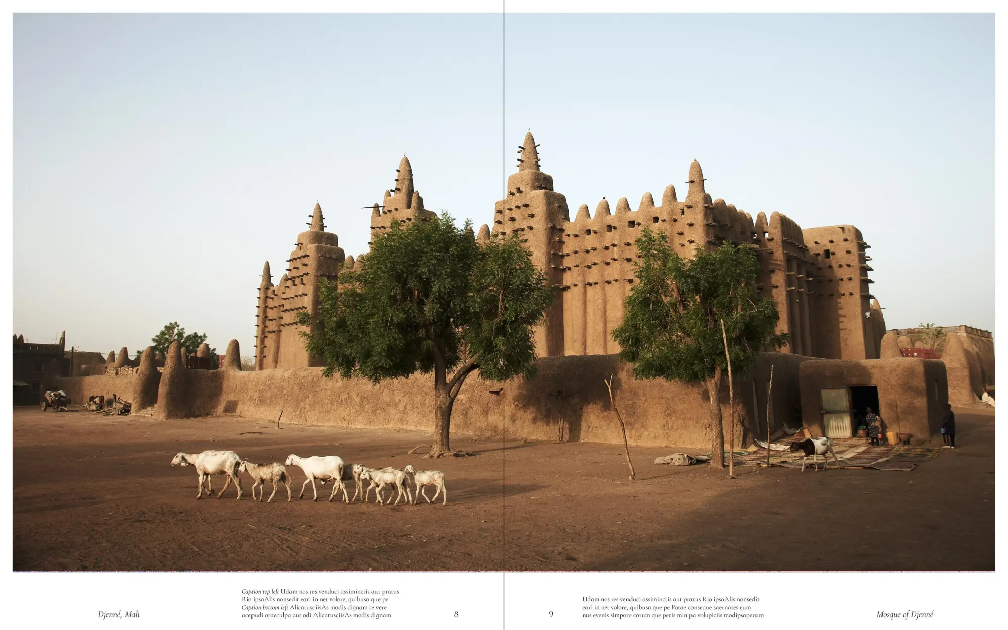 Bild: 9783967041361 | The Book of Temples | Spiritual Places Around the World | Buch | 2025