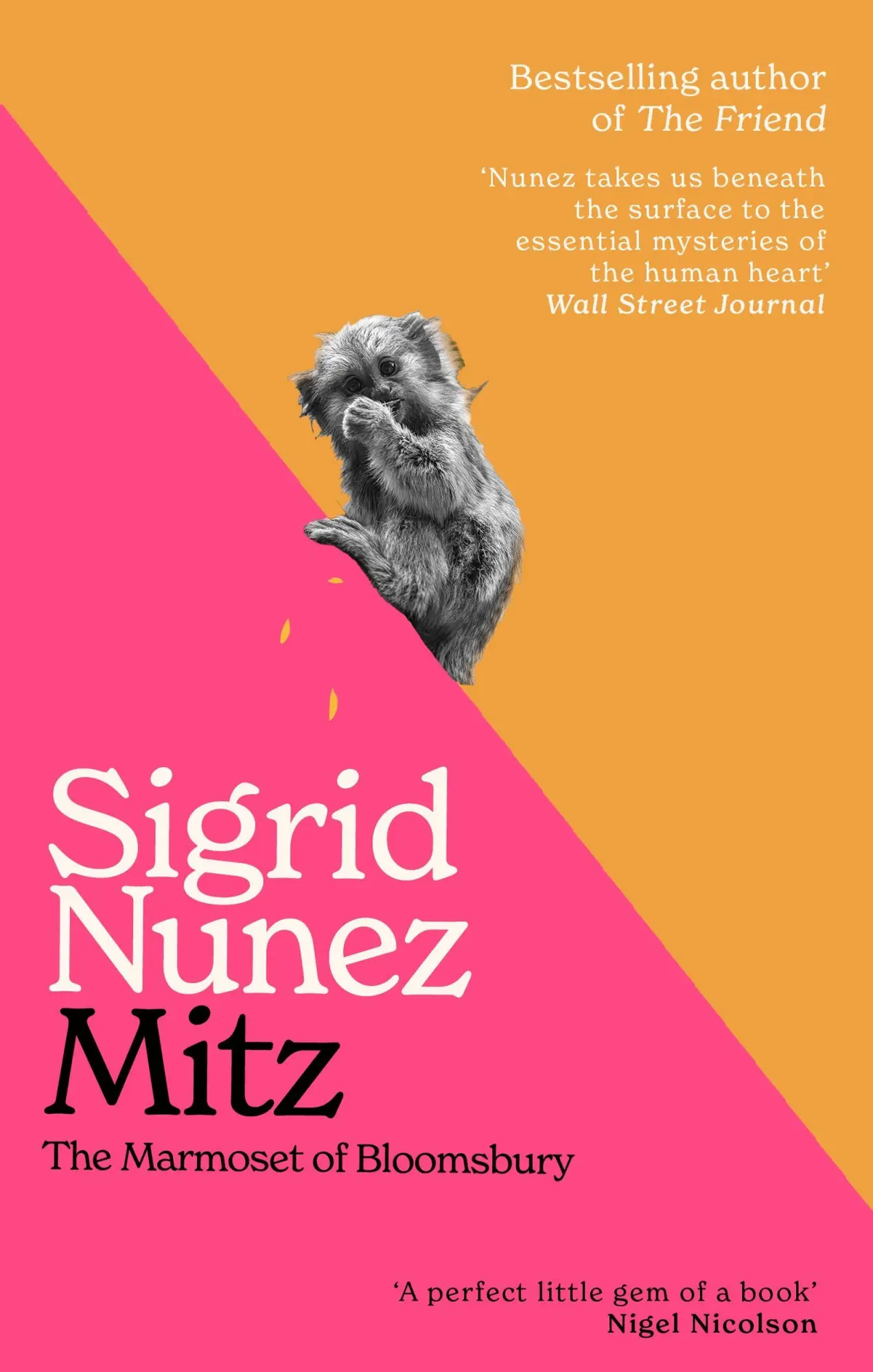 Cover: 9780349021461 | Mitz | The Marmoset of Bloomsbury | Sigrid Nunez | Taschenbuch | 2026