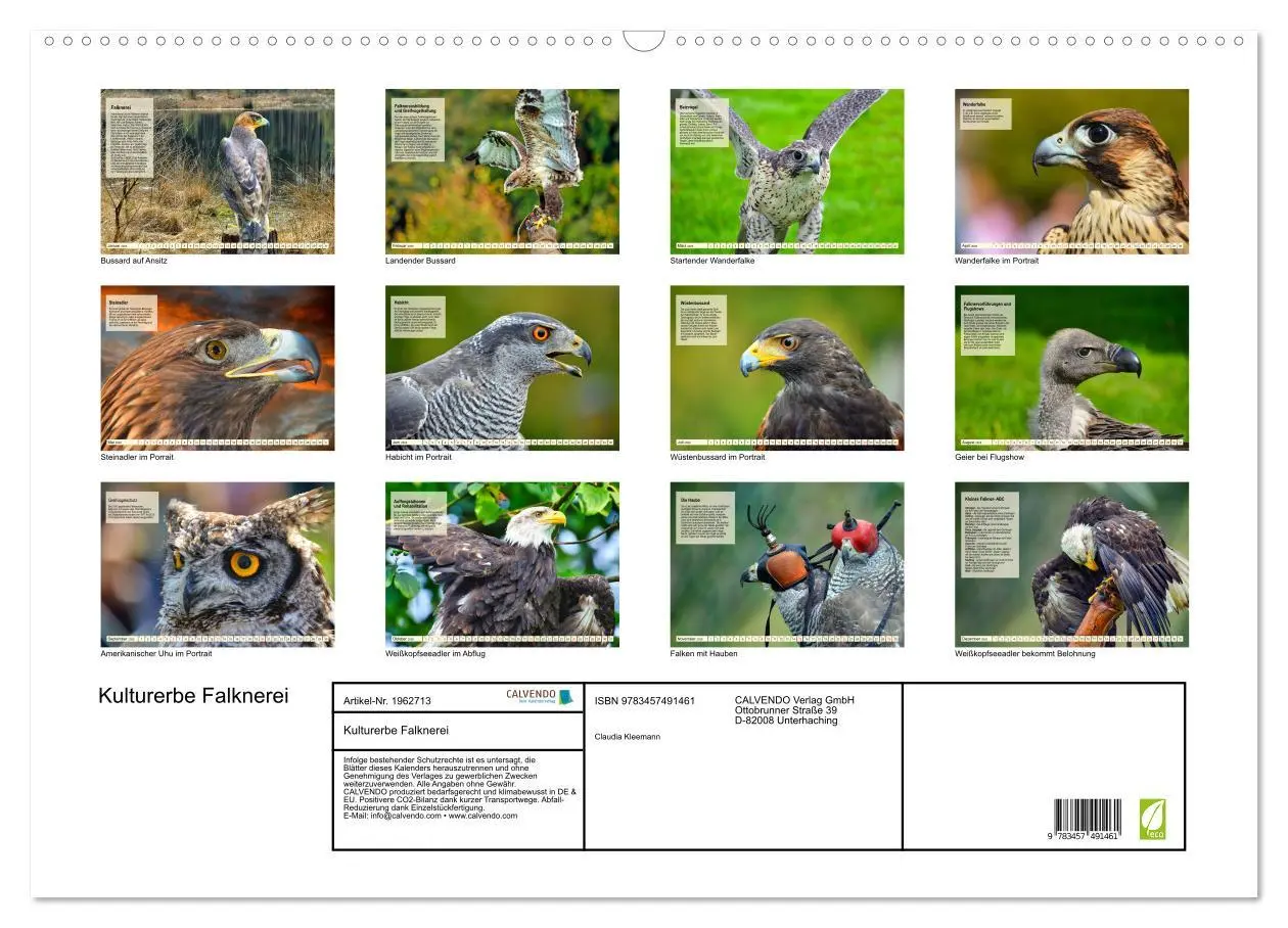 Bild: 9783457491461 | Kulturerbe Falknerei (Wandkalender 2026 DIN A2 quer), CALVENDO...