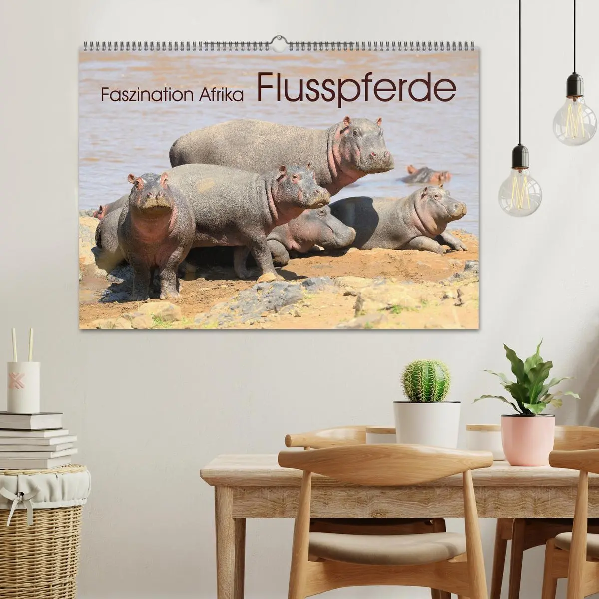 Bild: 9783457791561 | Faszination Afrika: Flusspferde (Wandkalender 2026 DIN A2 quer),...