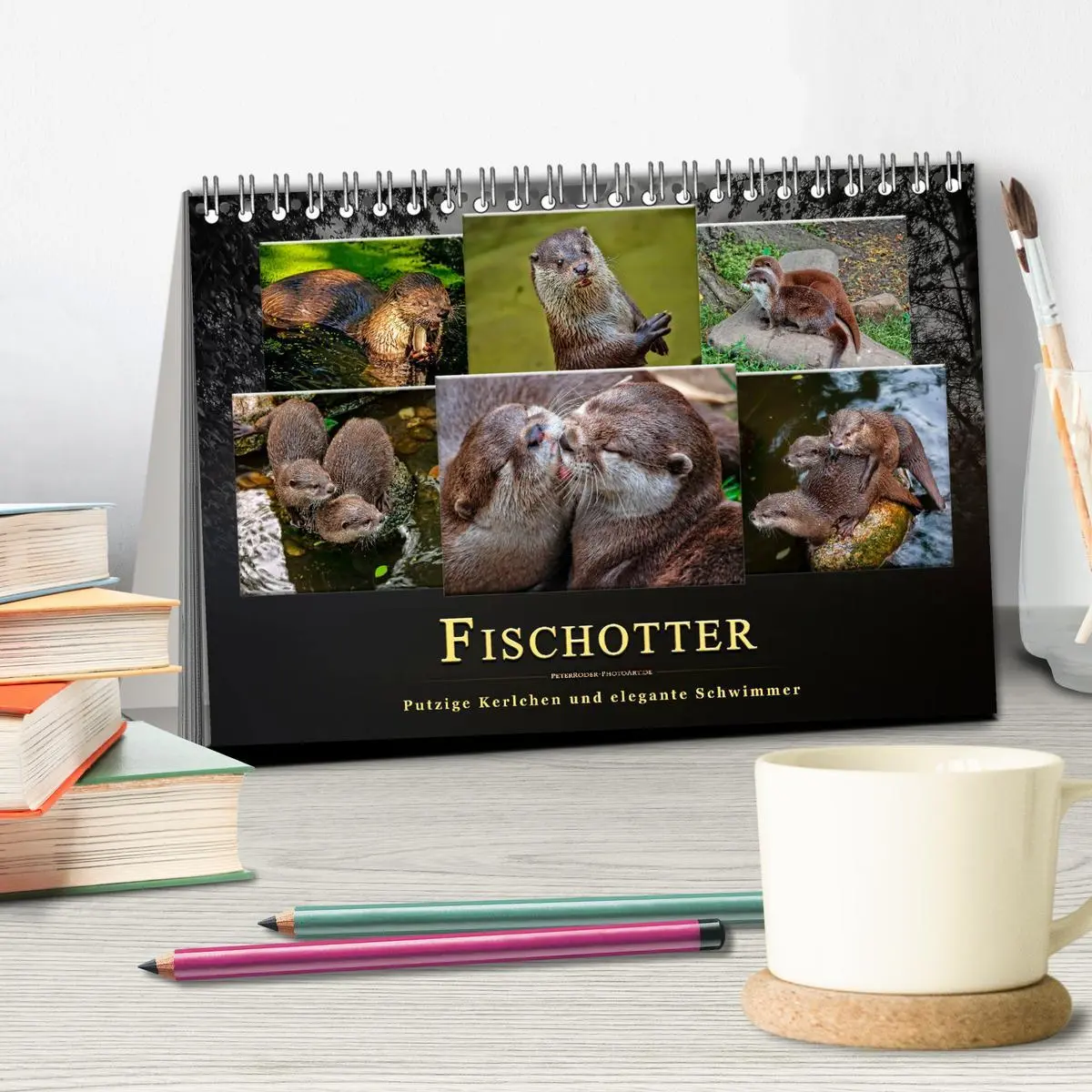 Bild: 9783457861561 | Fischotter - putzige Kerlchen und elegante Schwimmer (Tischkalender...