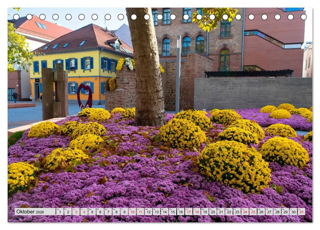 Bild: 9783457931561 | Zauberhaftes Kinzigtal (Tischkalender 2026 DIN A5 quer), CALVENDO...