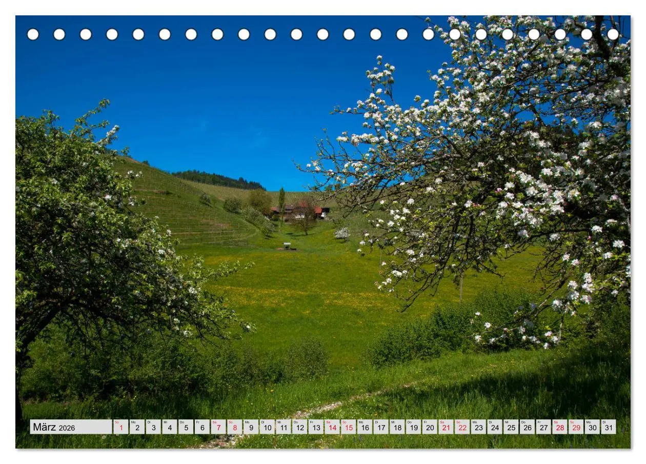 Bild: 9783457931561 | Zauberhaftes Kinzigtal (Tischkalender 2026 DIN A5 quer), CALVENDO...