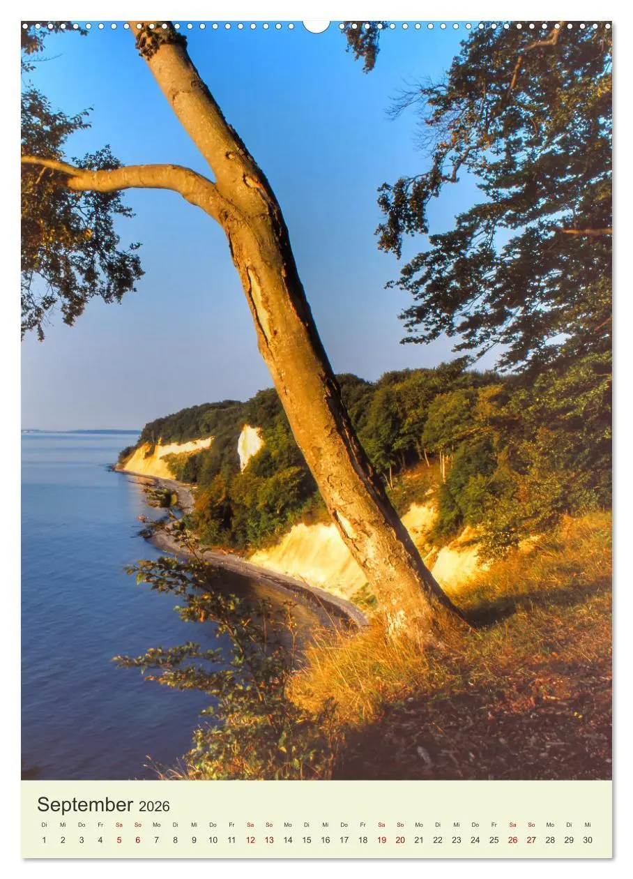 Bild: 9783516261561 | MECKLENBURG-VORPOMMERN. Du bist so schön (Wandkalender 2026 DIN A2...