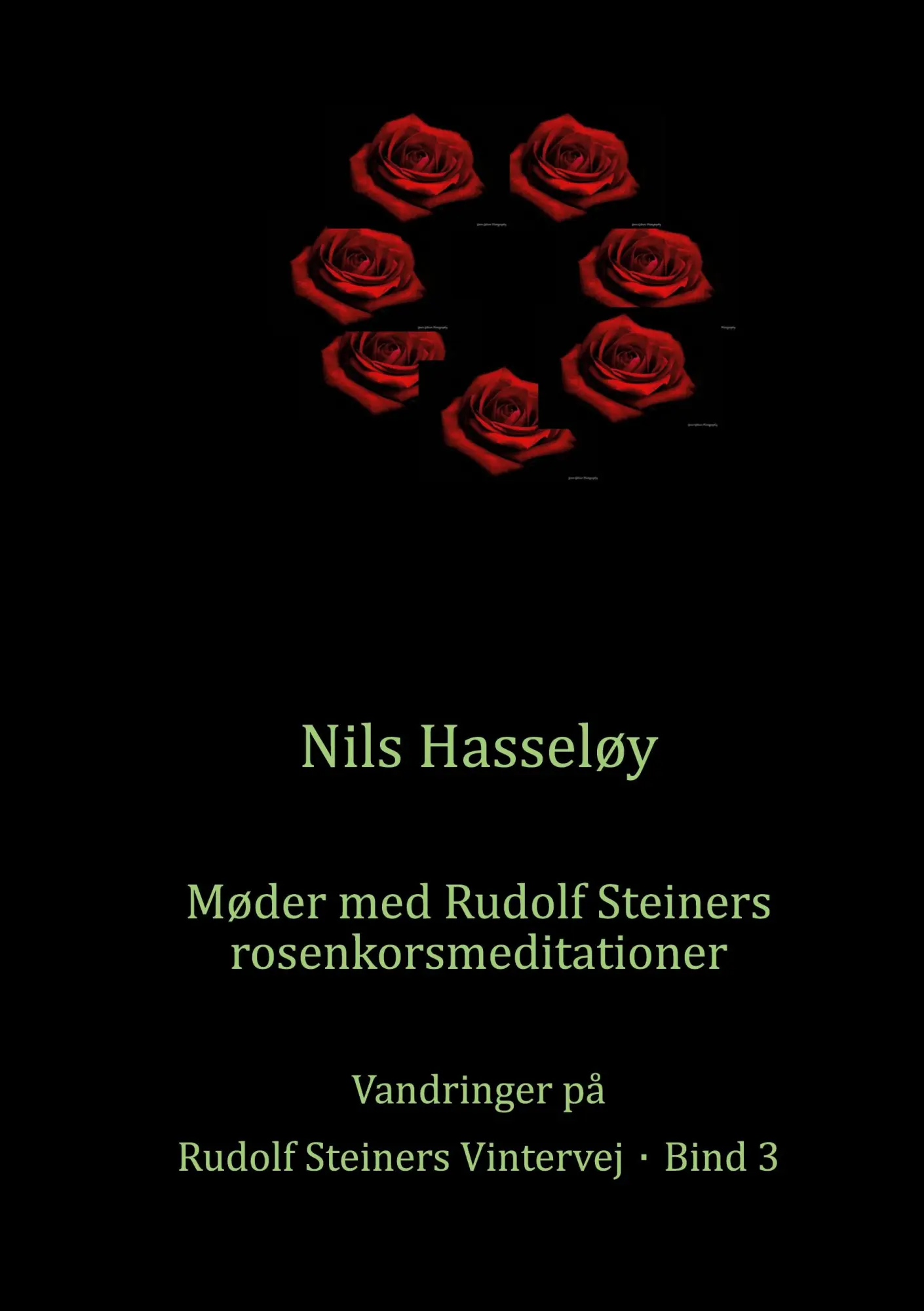 Cover: 9788743091561 | Møder med Rudolf Steiners rosenkorsmeditationer | Nils Hasseløy | Buch