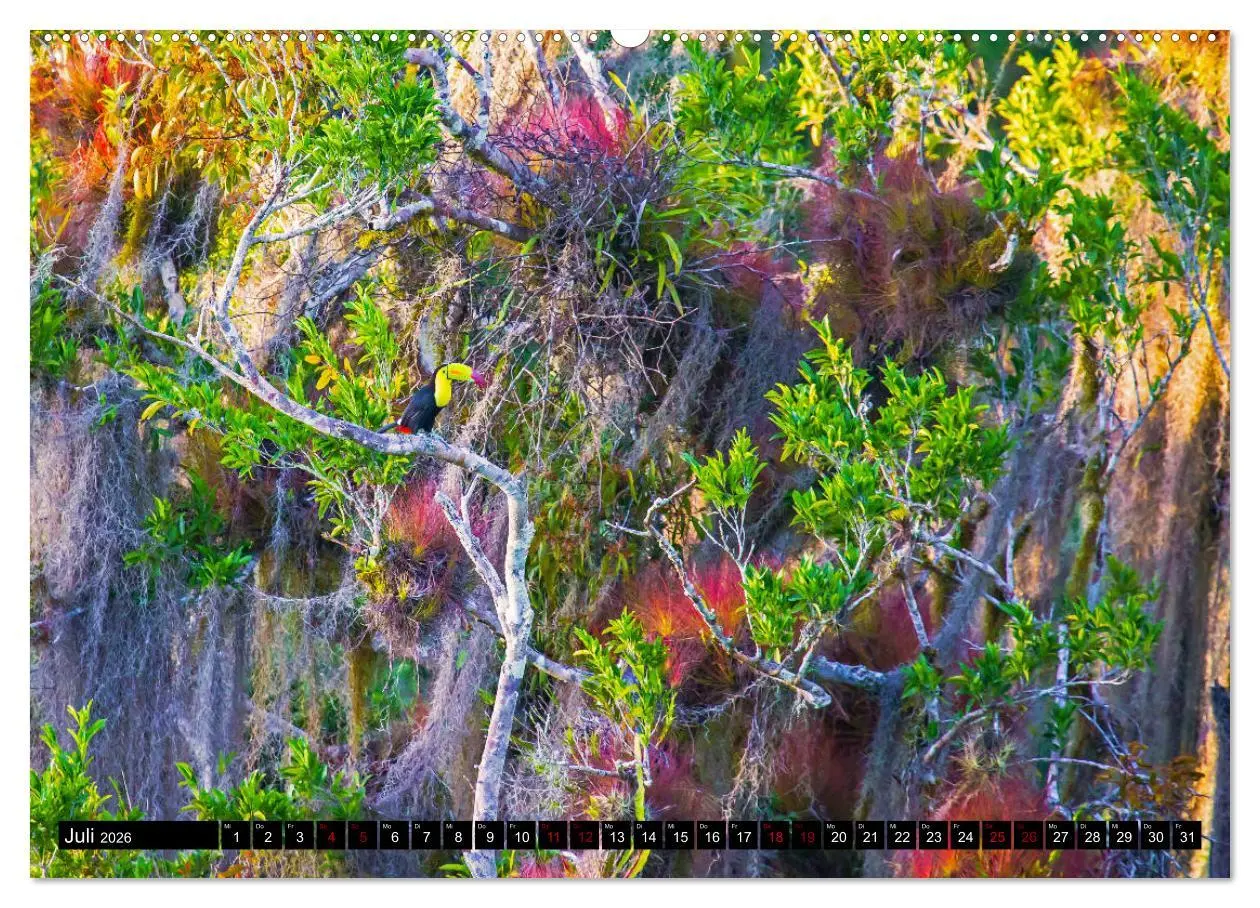 Bild: 9783457781661 | Guatemala - das Herz des Mayareiches (Wandkalender 2026 DIN A2...