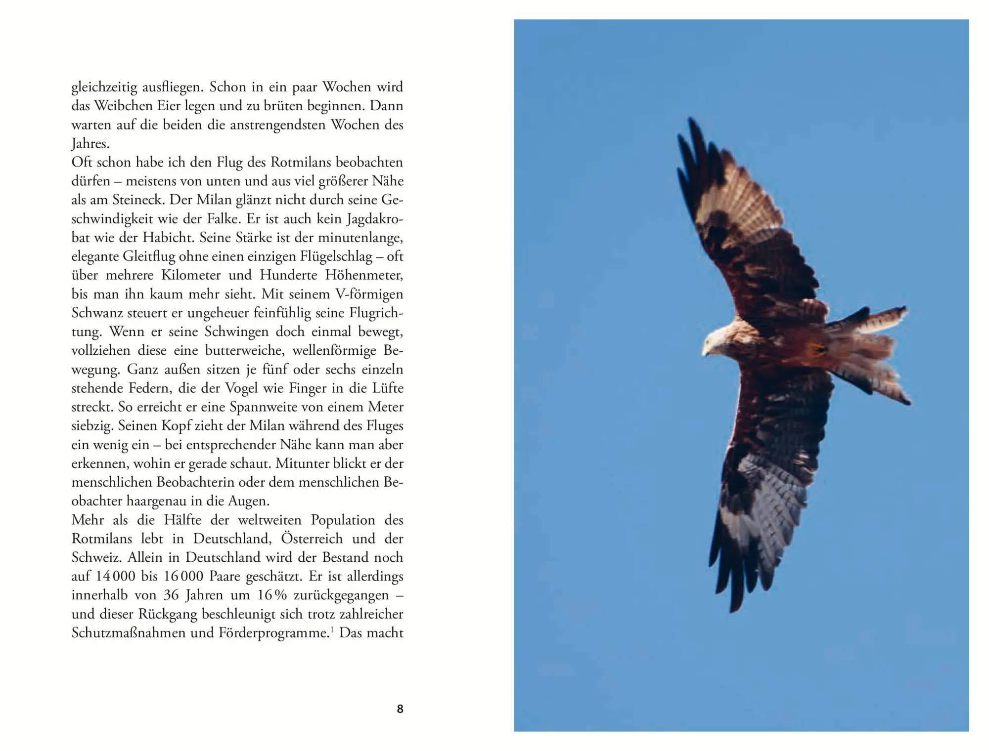 Bild: 9783702511661 | Unterwegs zu ökologischer Hoffnung | Michael Rosenberger | Buch | 2025