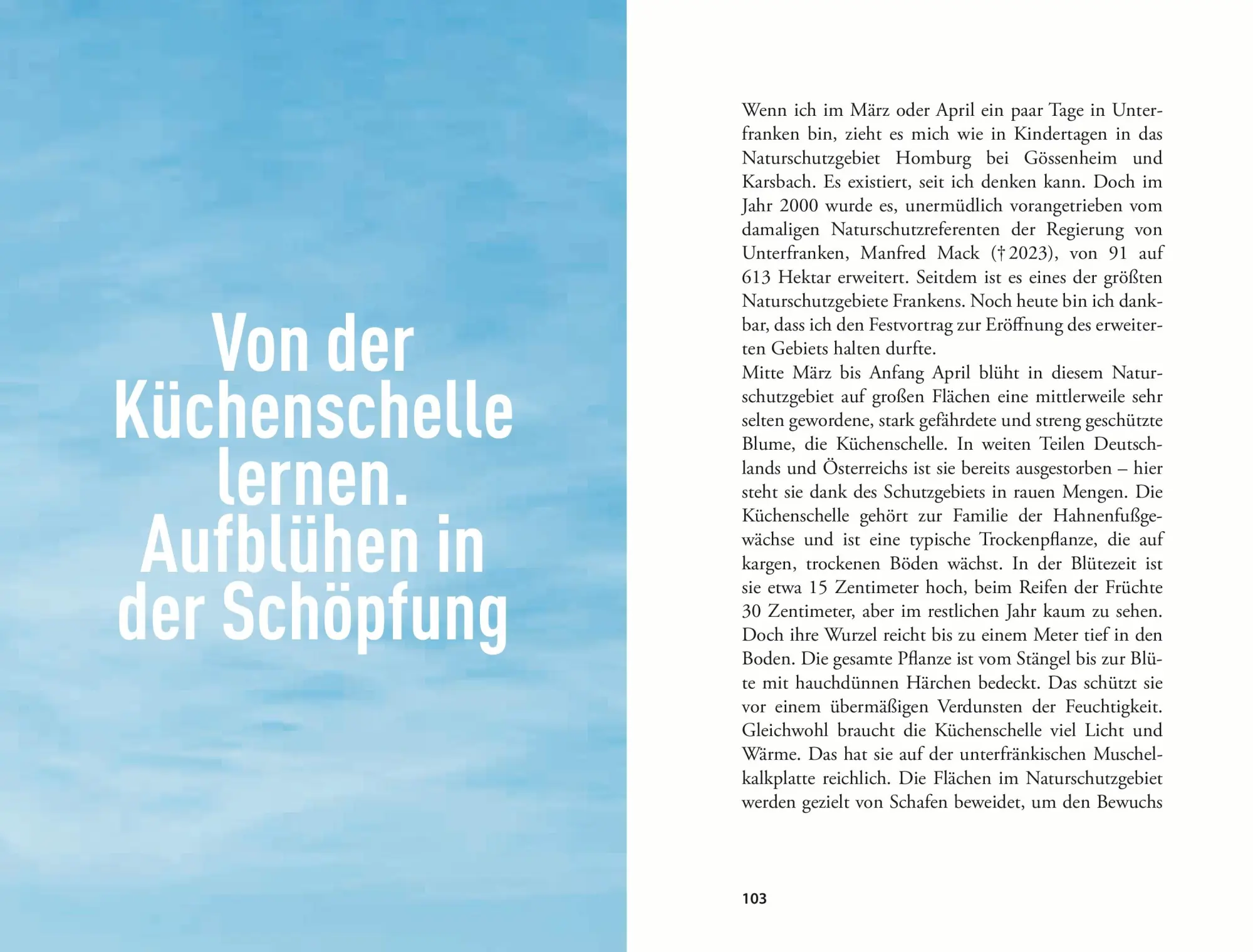 Bild: 9783702511661 | Unterwegs zu ökologischer Hoffnung | Michael Rosenberger | Buch | 2025