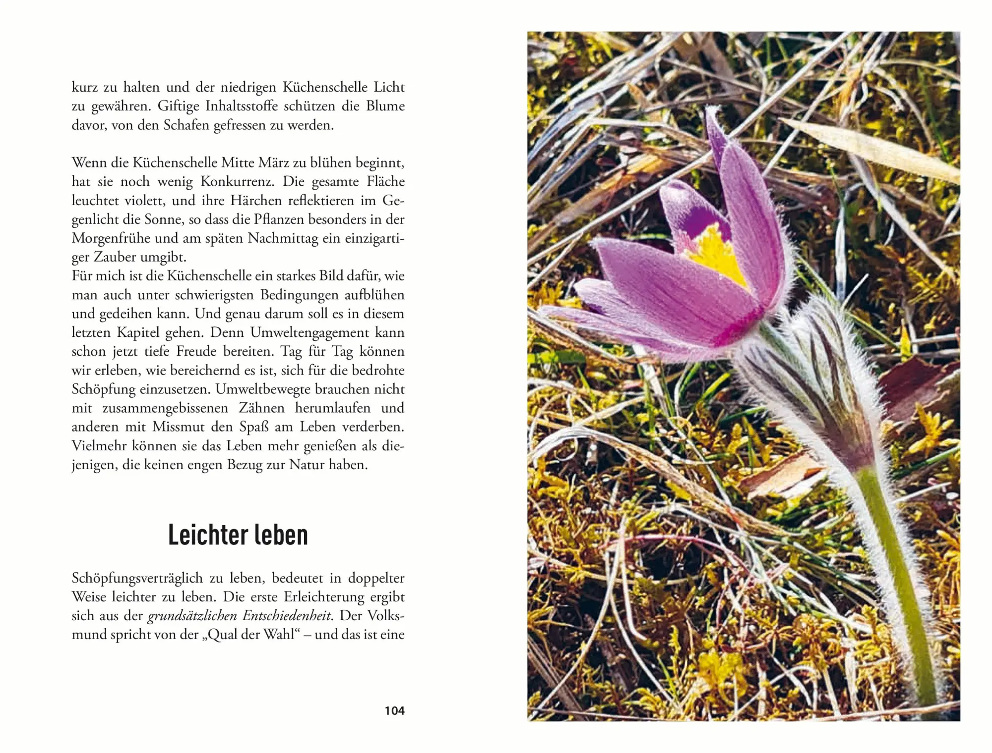 Bild: 9783702511661 | Unterwegs zu ökologischer Hoffnung | Michael Rosenberger | Buch | 2025