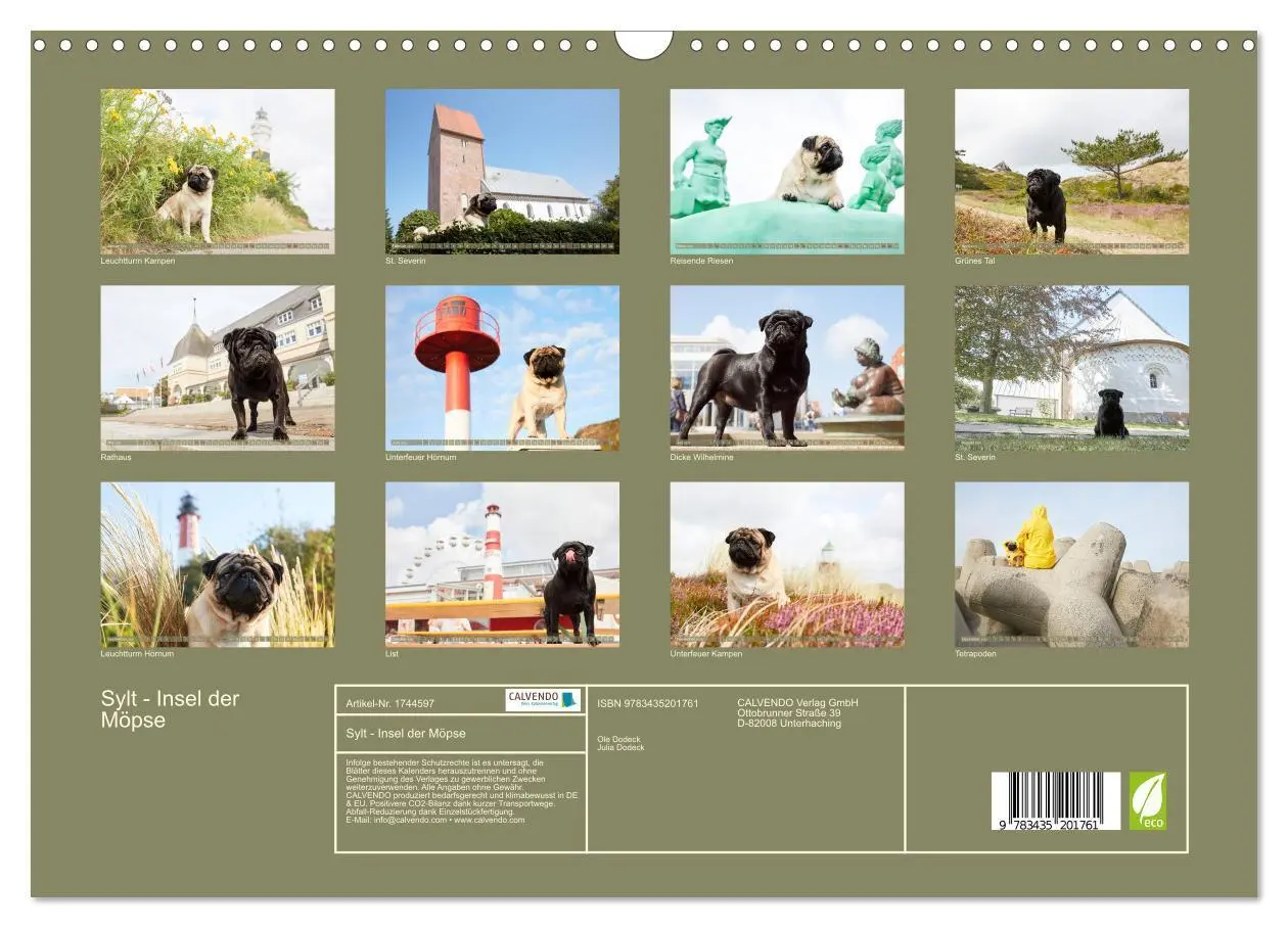Bild: 9783435201761 | Sylt - Insel der Möpse (Wandkalender 2025 DIN A3 quer), CALVENDO...