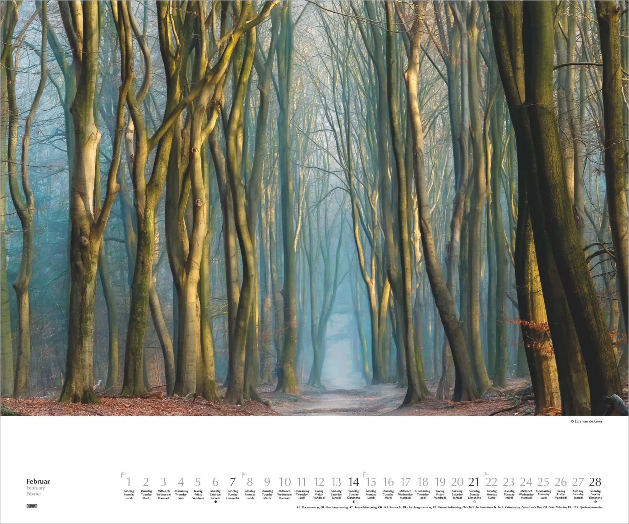 Bild: 4069095011861 | Waldspaziergang 2027 | Lars van de Goor | Kalender | DuMont (Kalender)