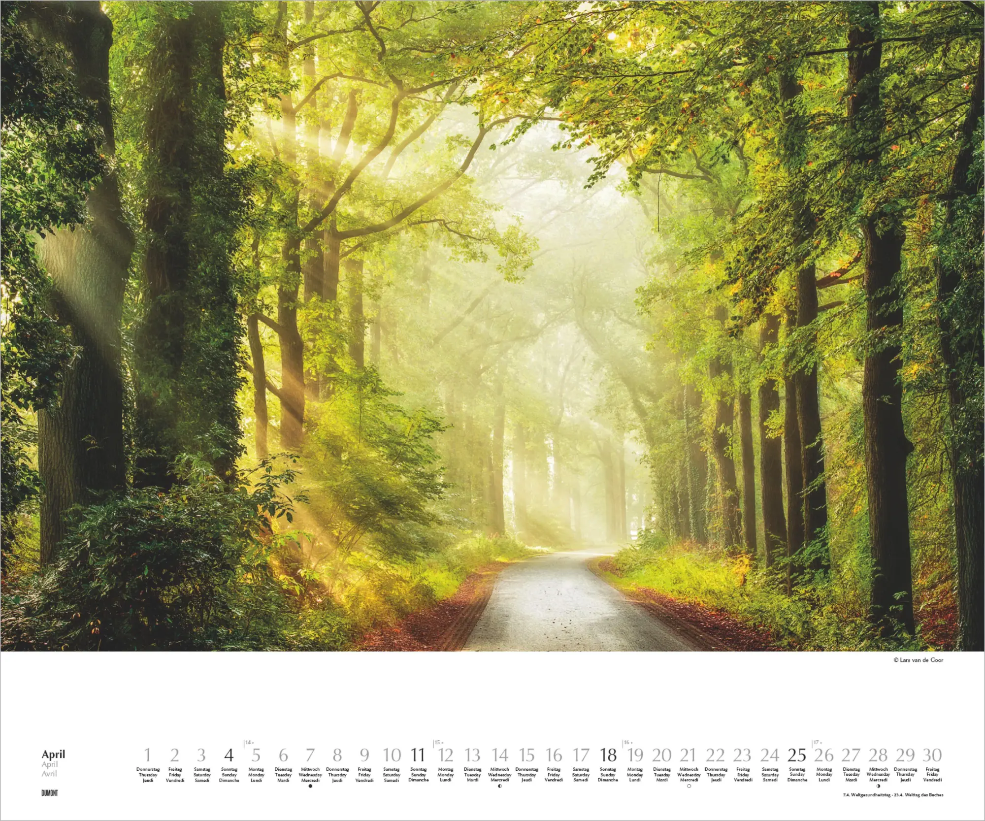 Bild: 4069095011861 | Waldspaziergang 2027 | Lars van de Goor | Kalender | DuMont (Kalender)