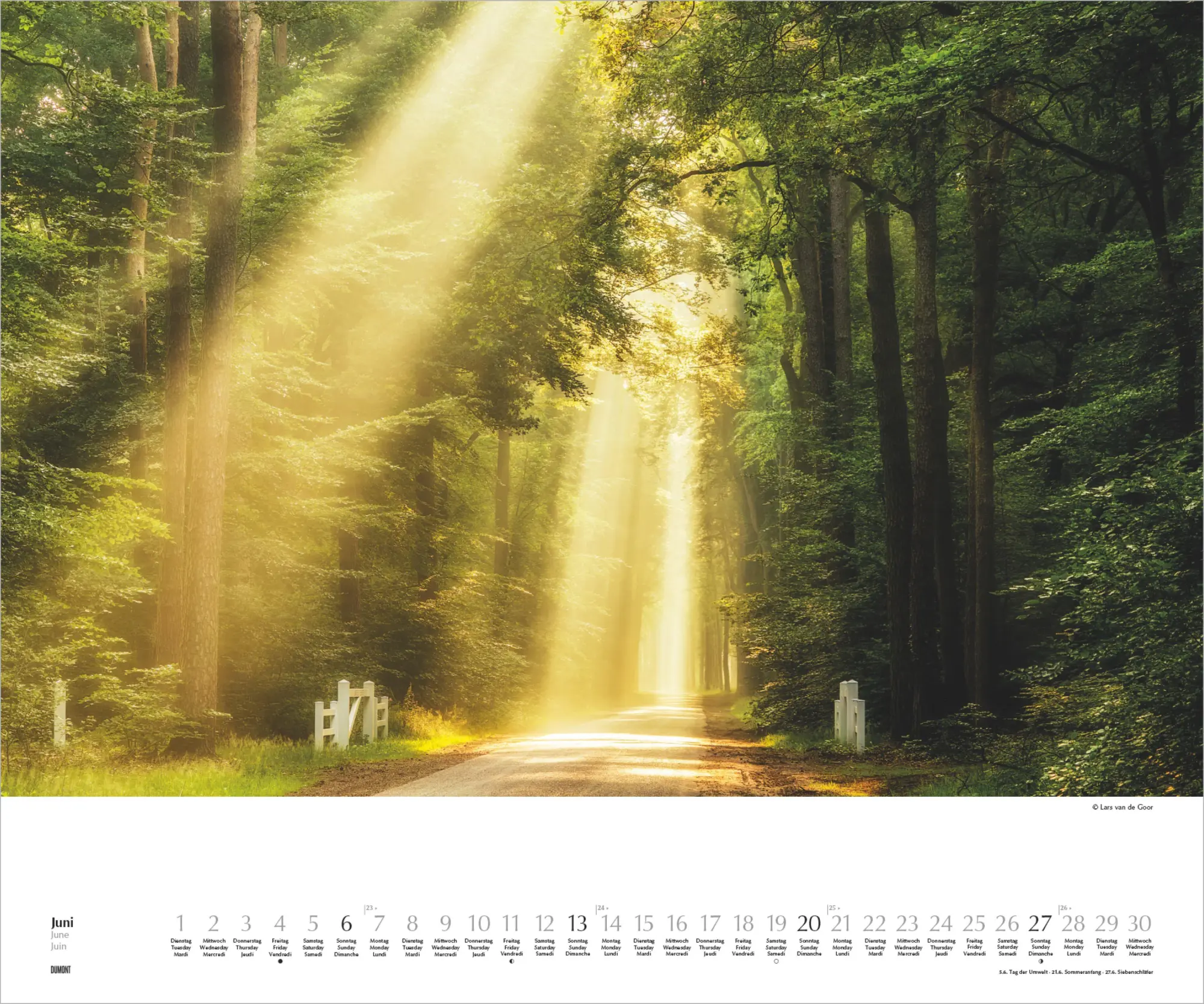 Bild: 4069095011861 | Waldspaziergang 2027 | Lars van de Goor | Kalender | DuMont (Kalender)