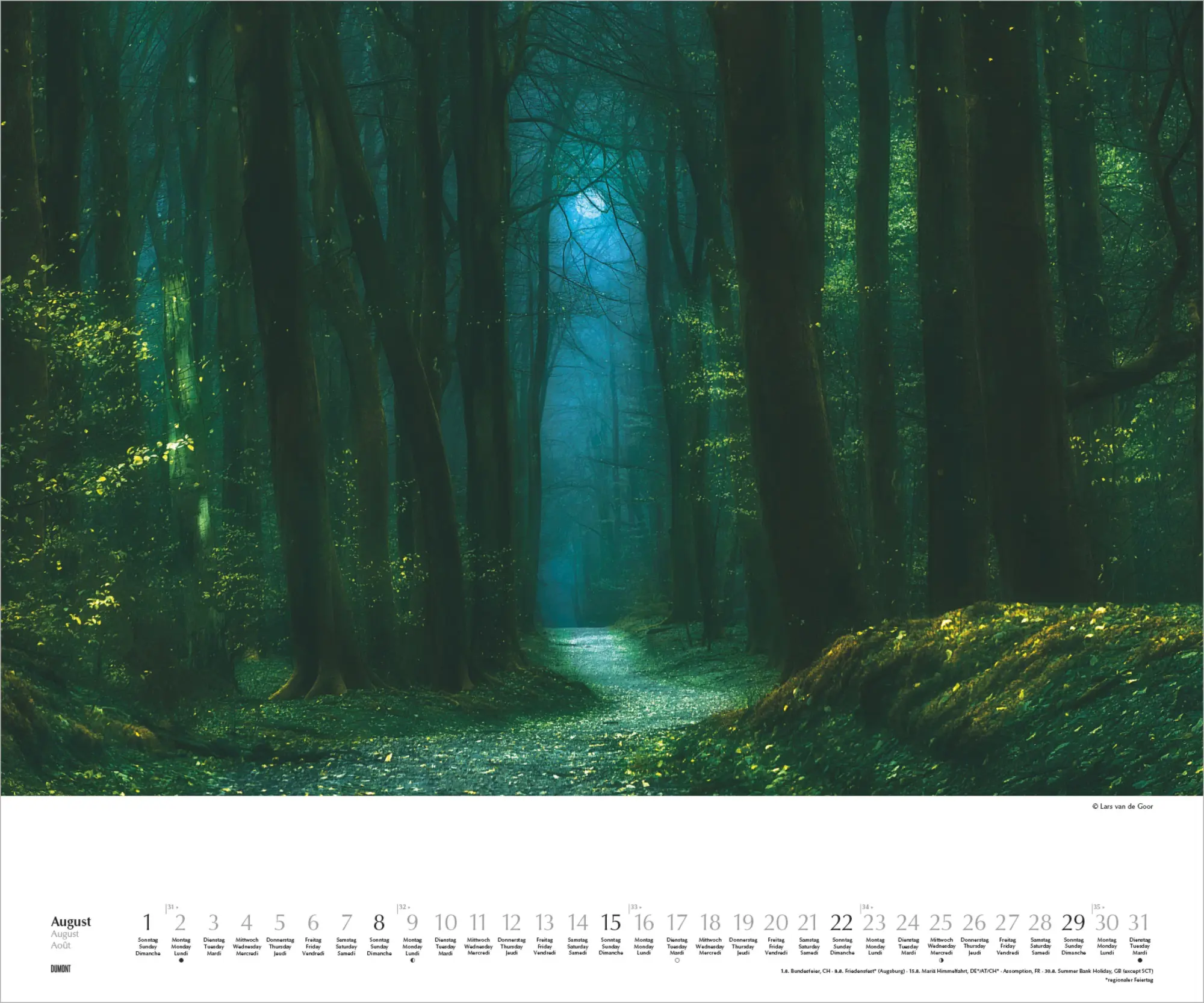 Bild: 4069095011861 | Waldspaziergang 2027 | Lars van de Goor | Kalender | DuMont (Kalender)